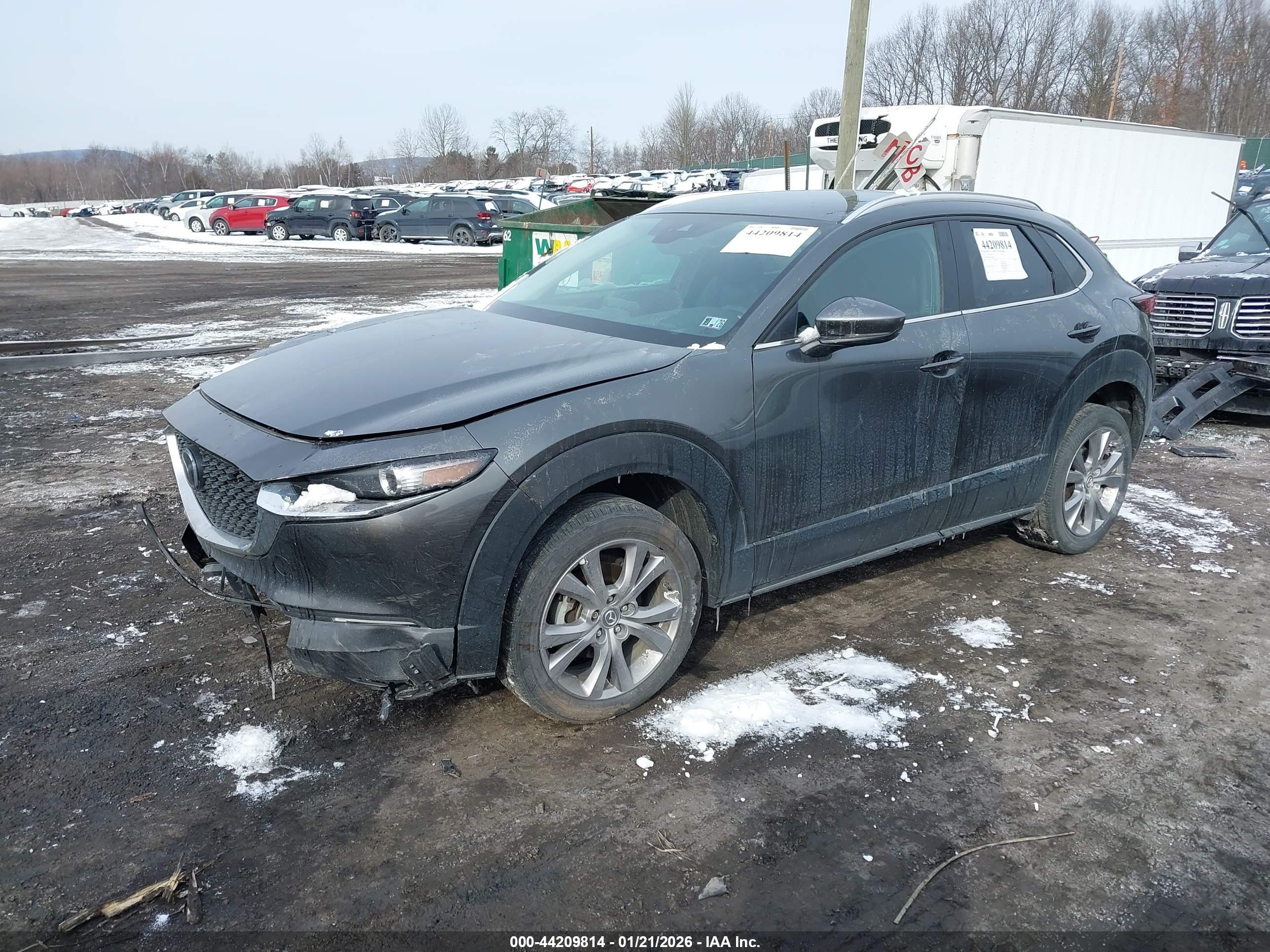 MAZDA CX-30 image 2