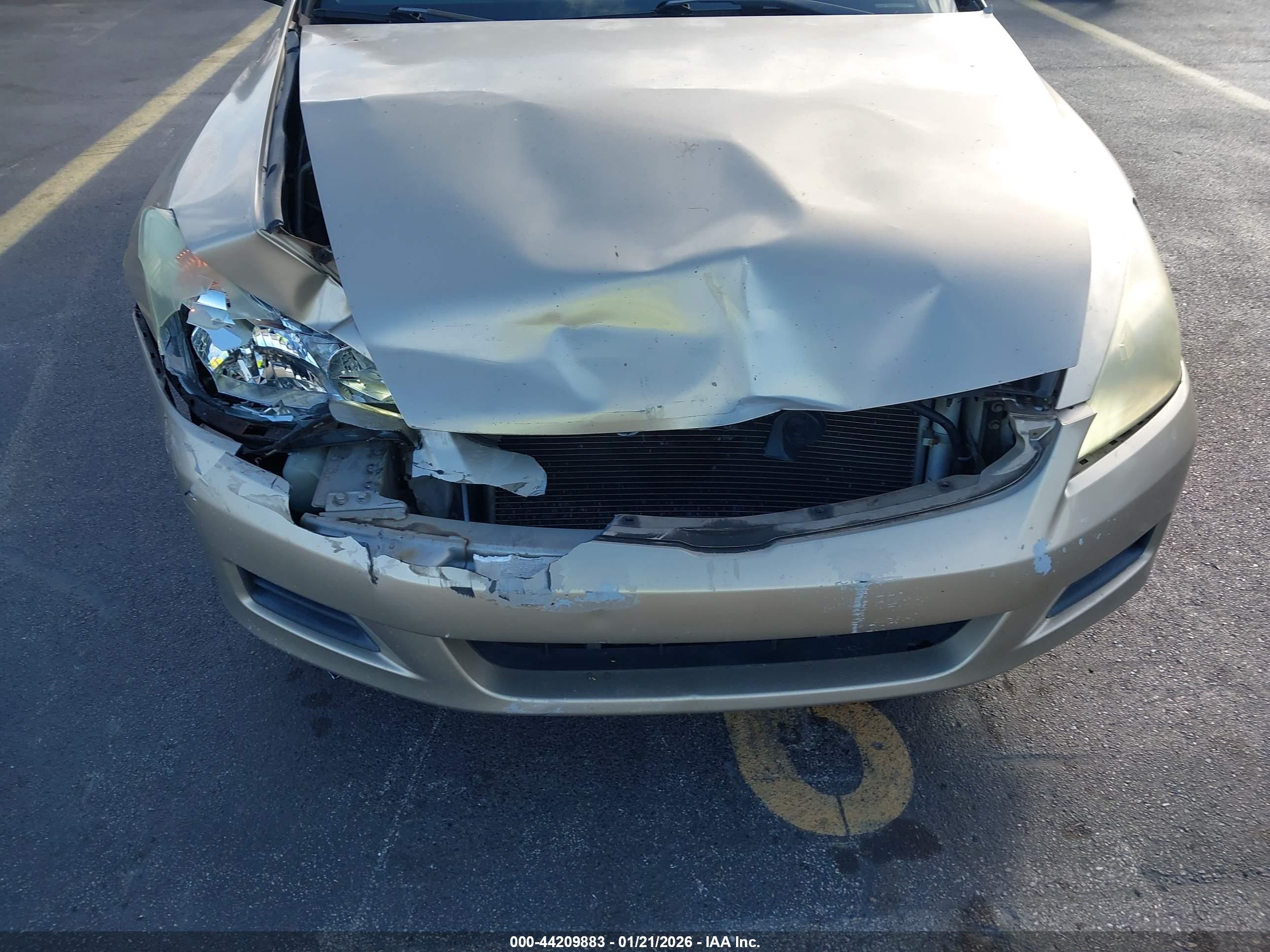 HONDA ACCORD image 6