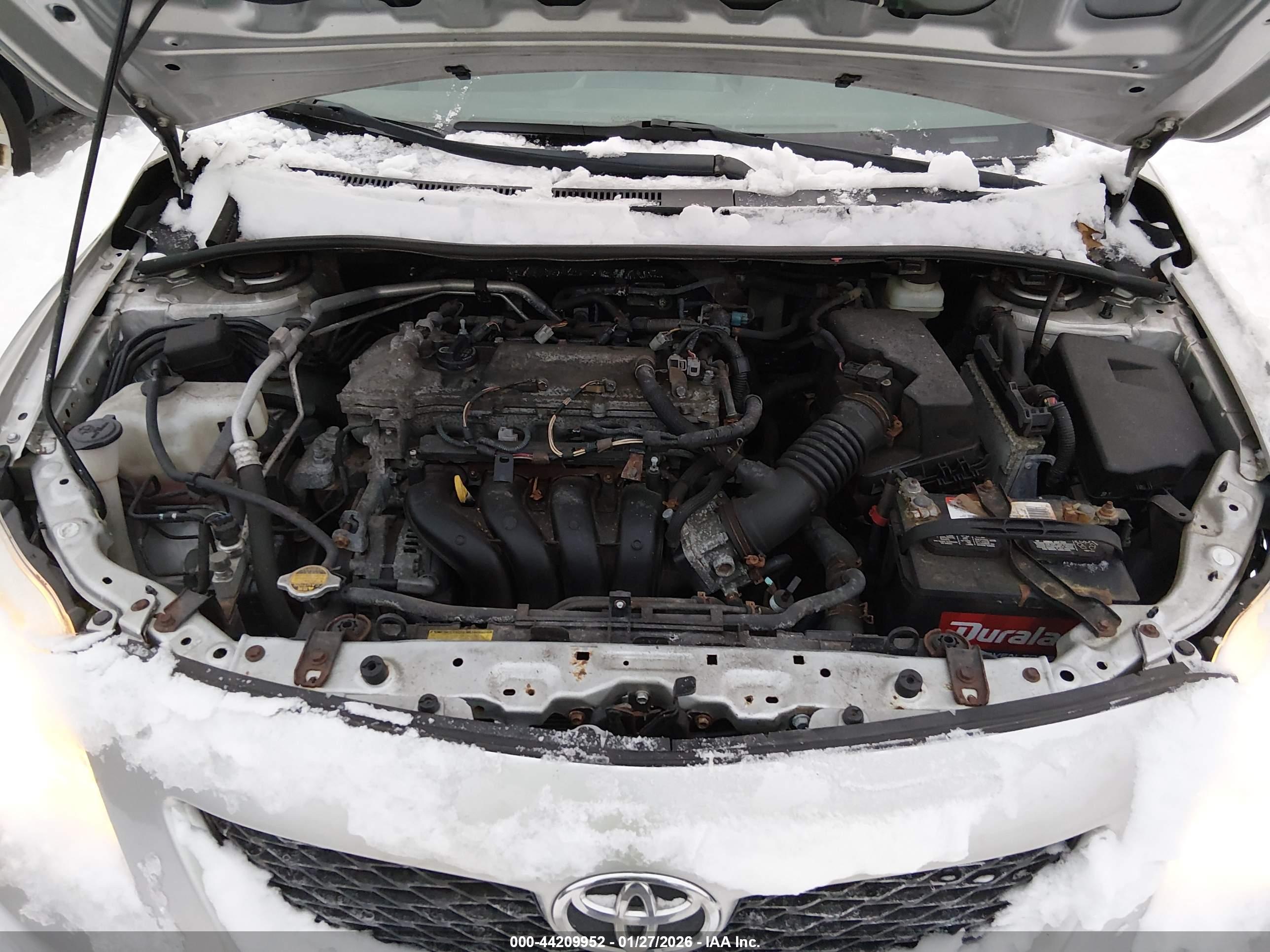 TOYOTA COROLLA image 10
