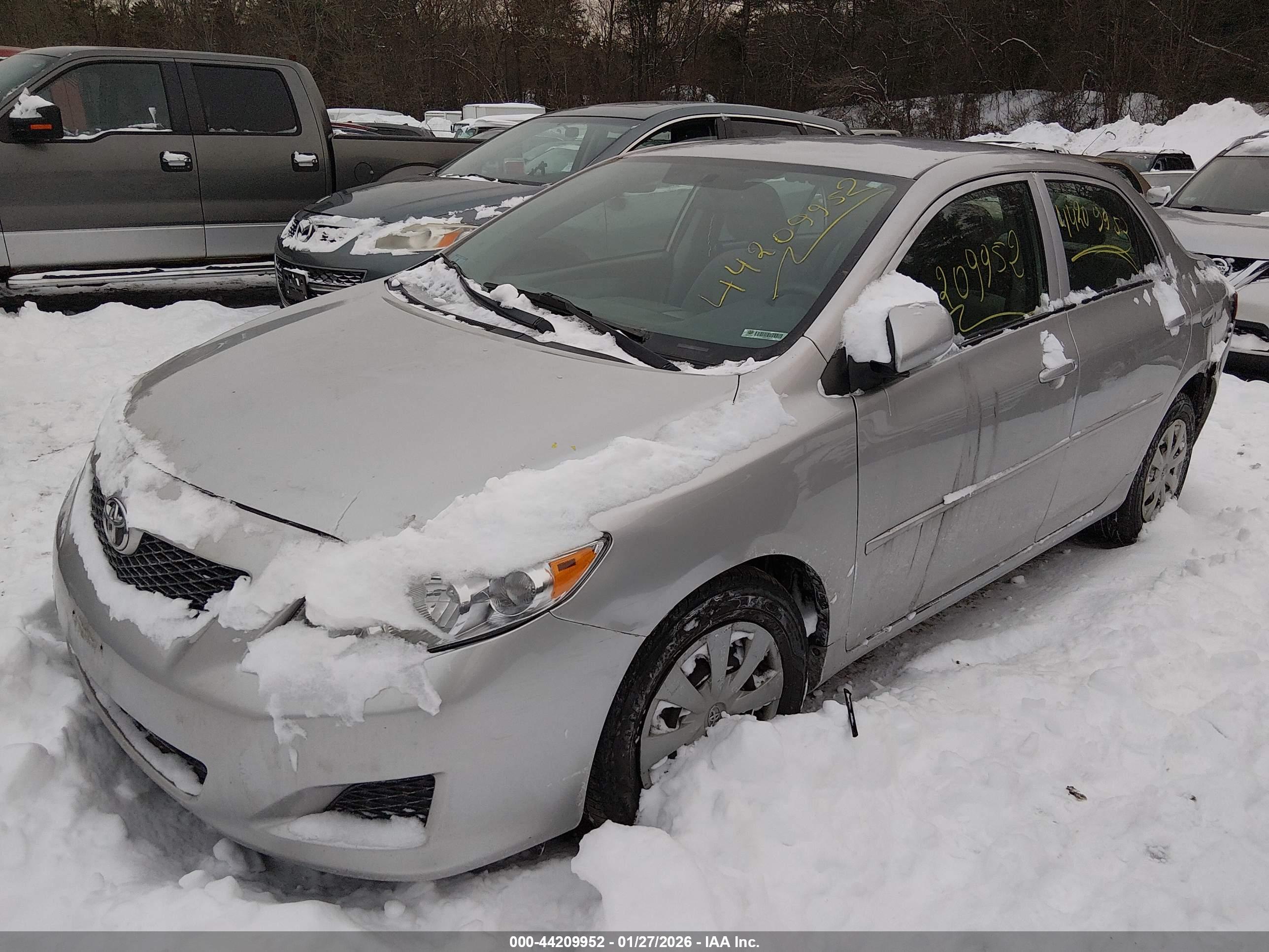 TOYOTA COROLLA image 2