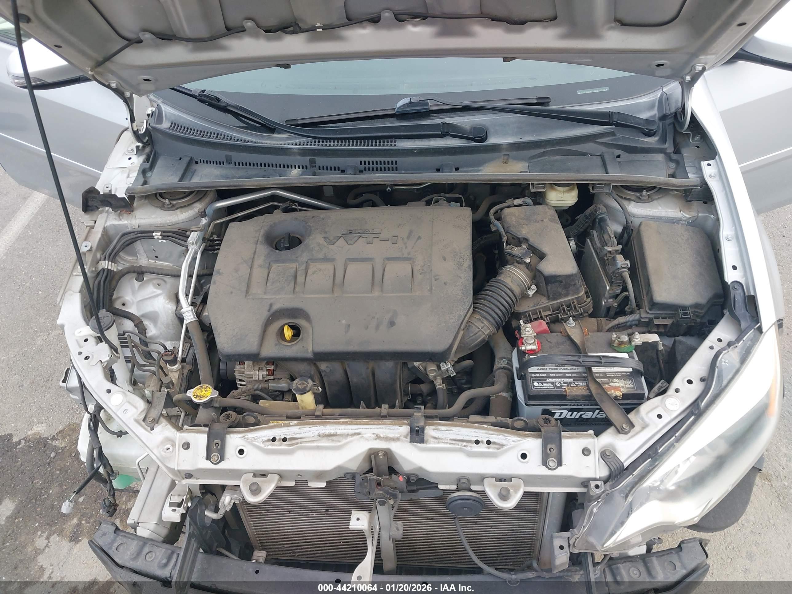 TOYOTA COROLLA image 10