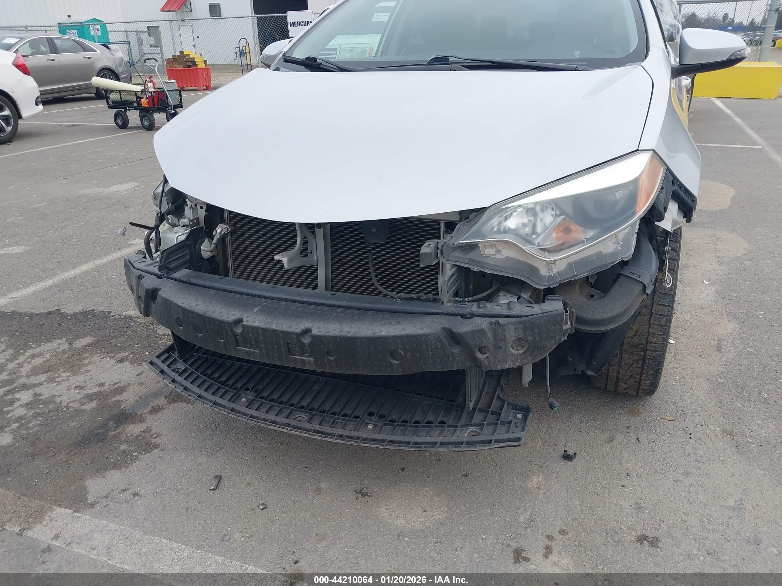 TOYOTA COROLLA image 6