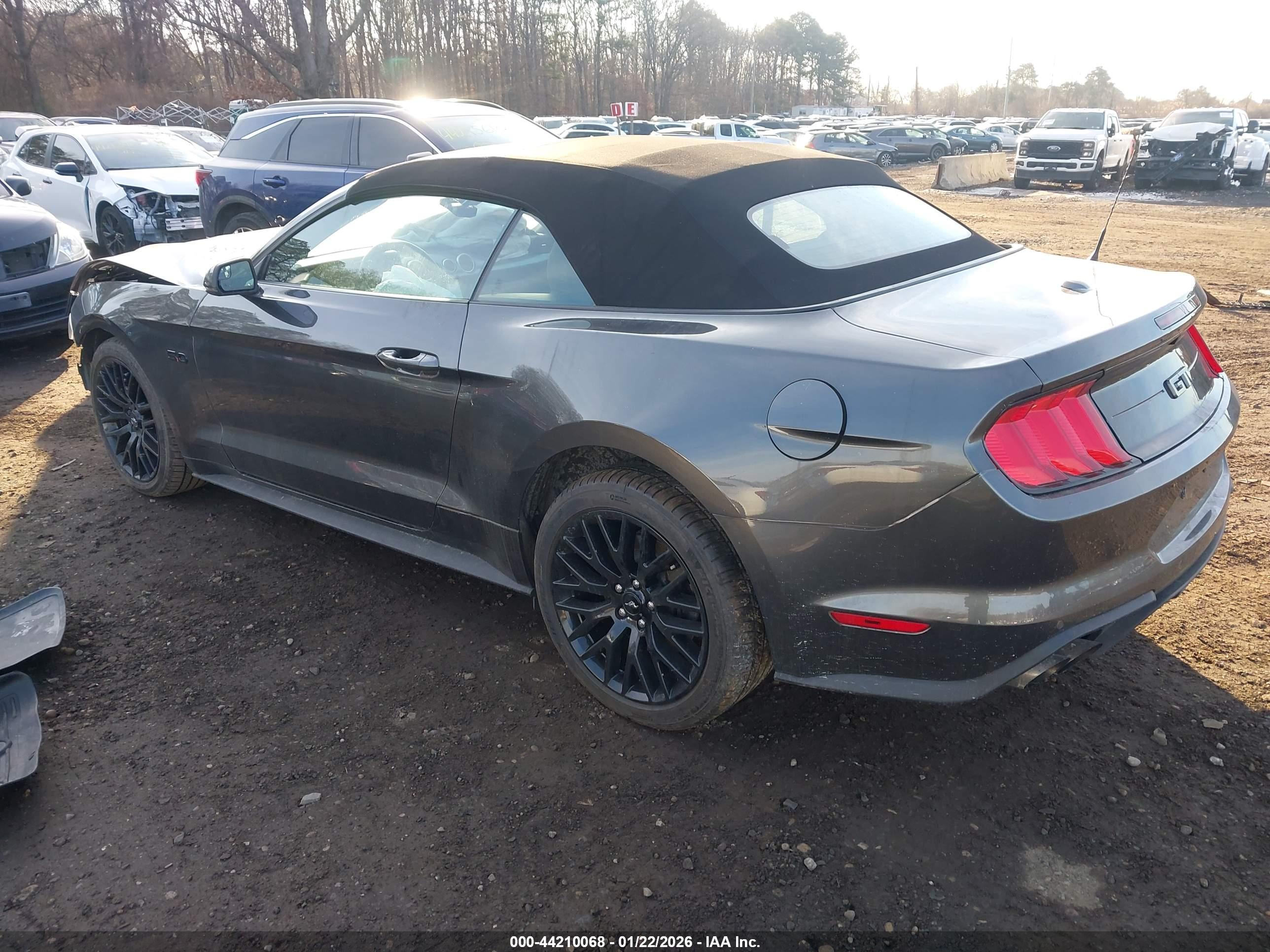 FORD MUSTANG image 3