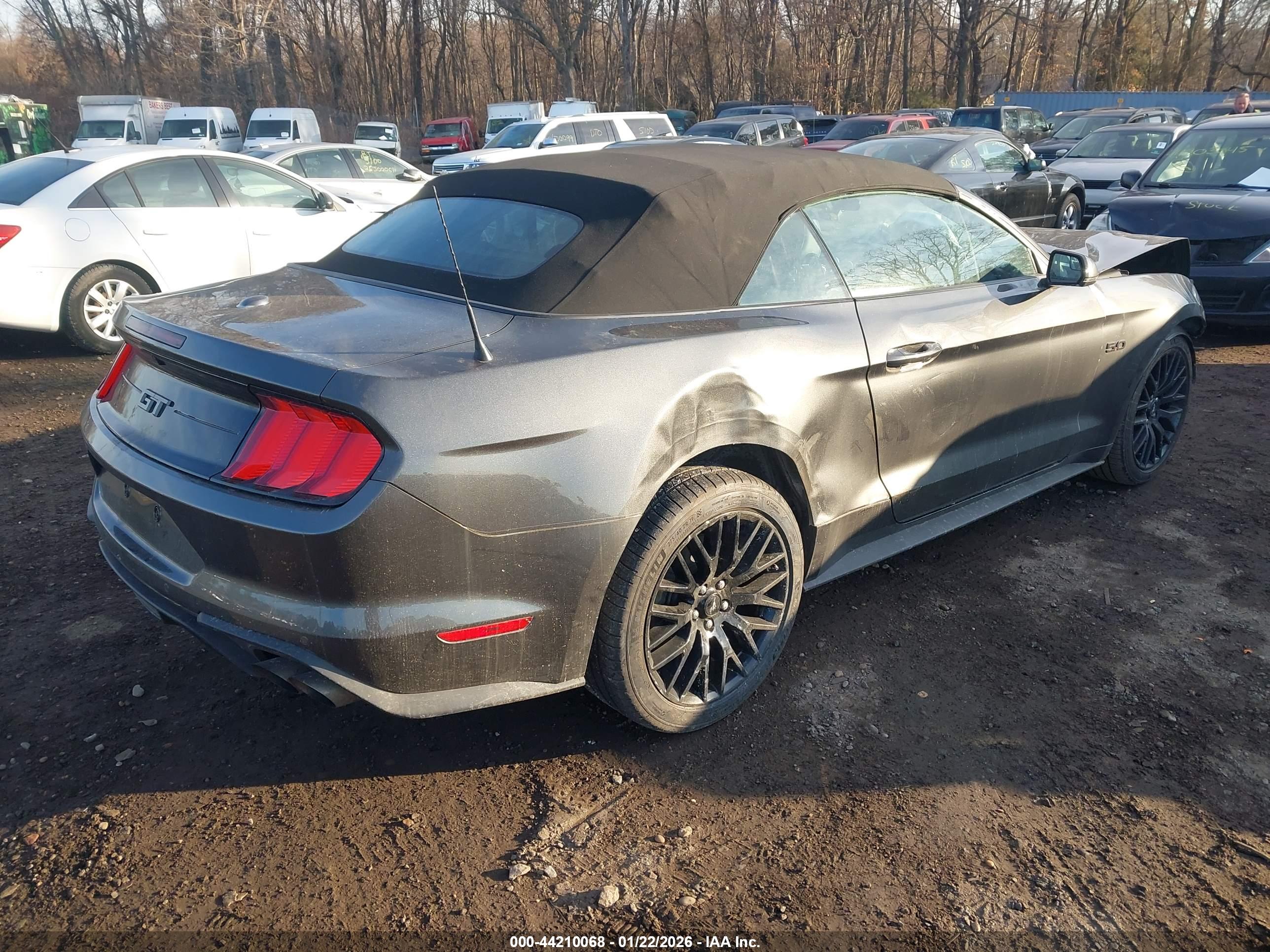 FORD MUSTANG image 4