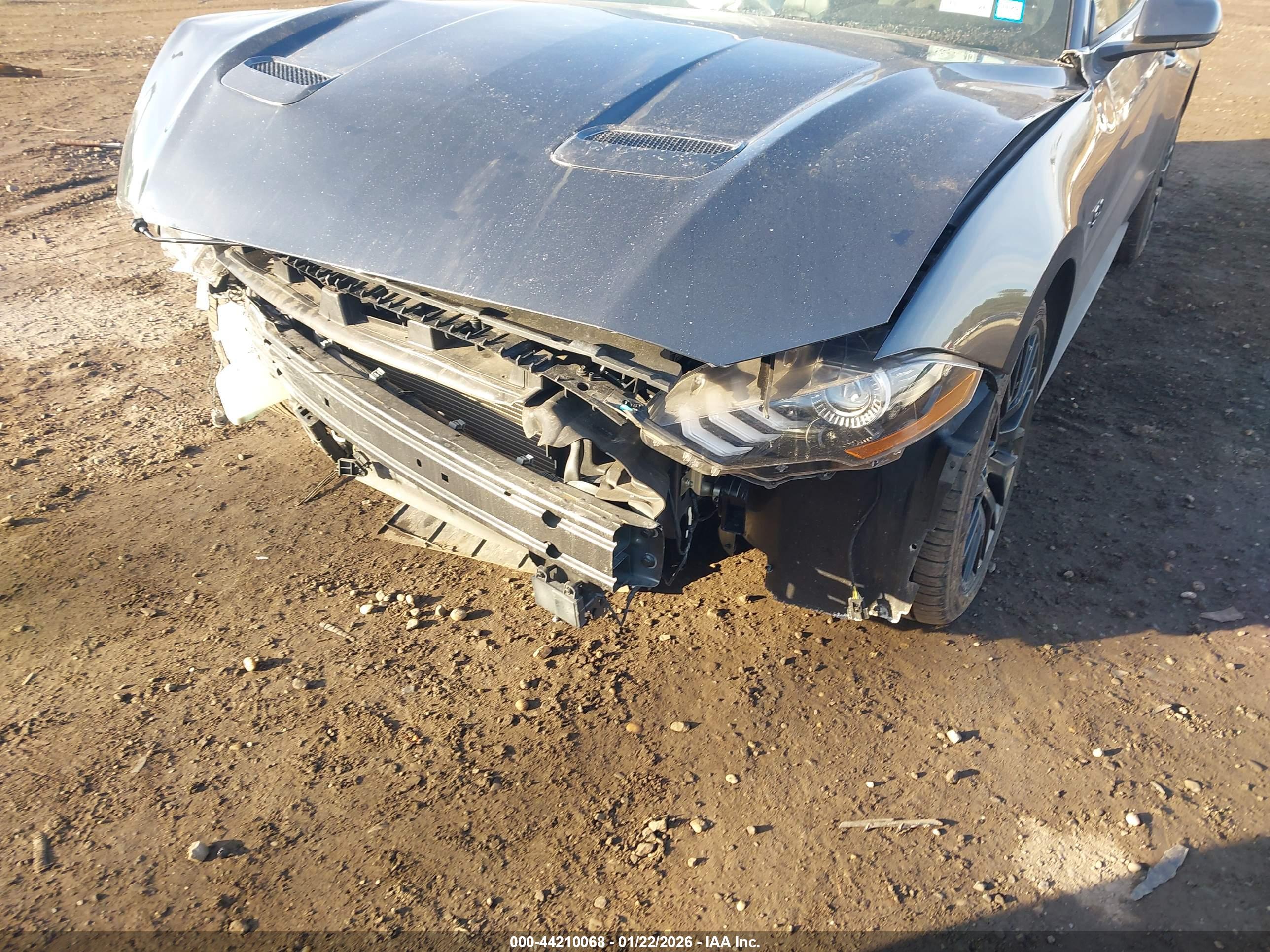 FORD MUSTANG image 6