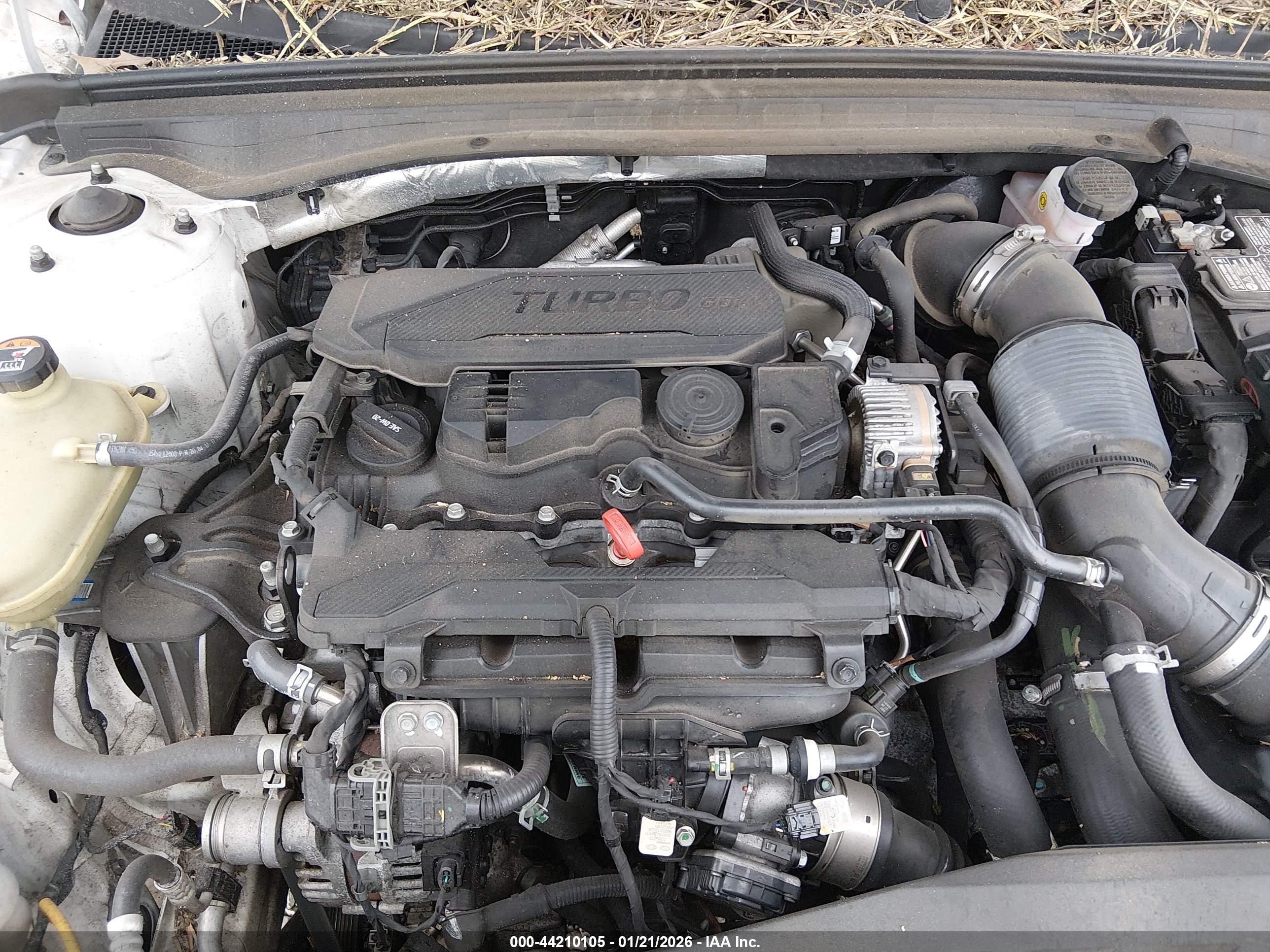KIA K5 image 10