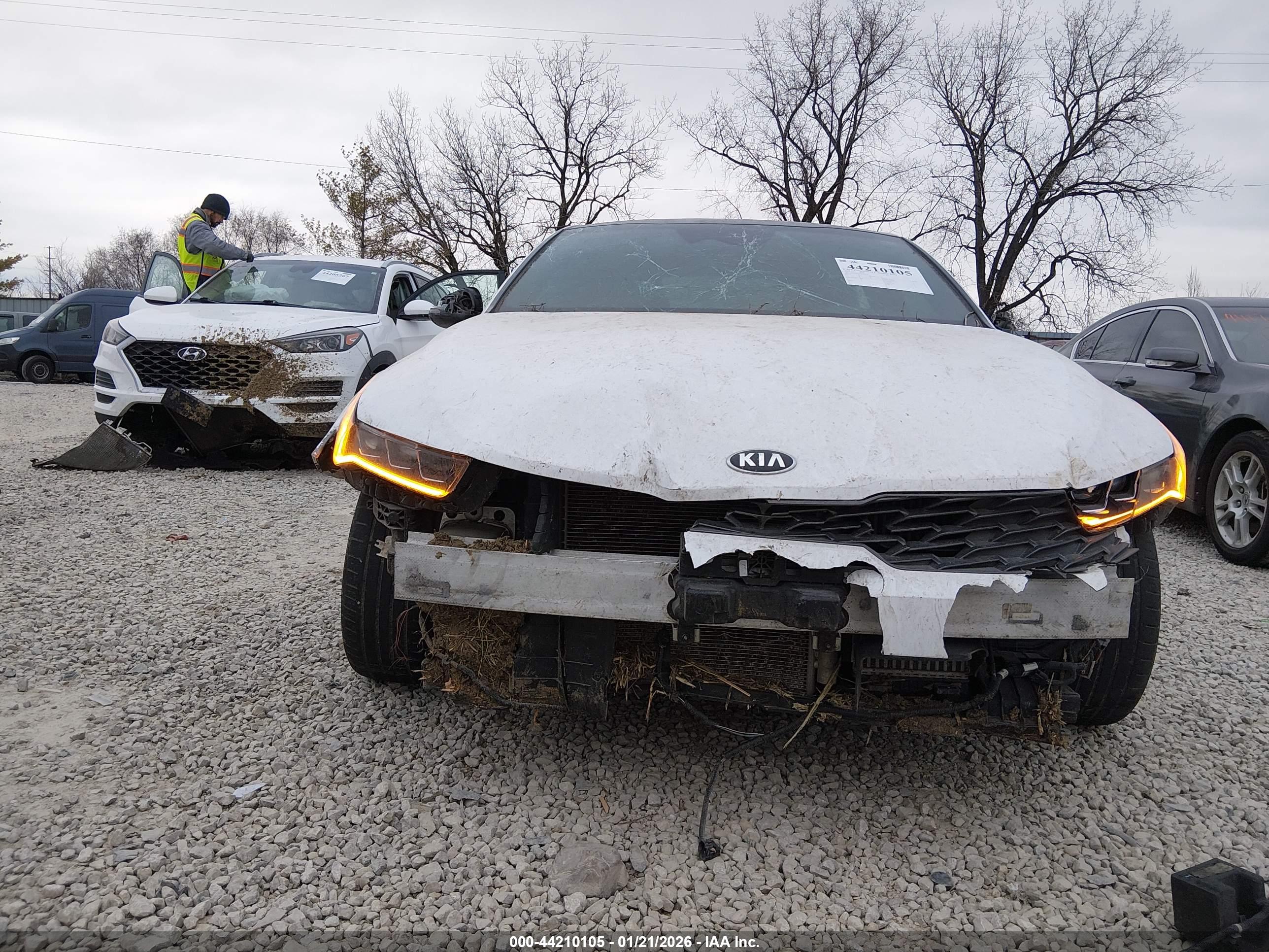 KIA K5 image 6