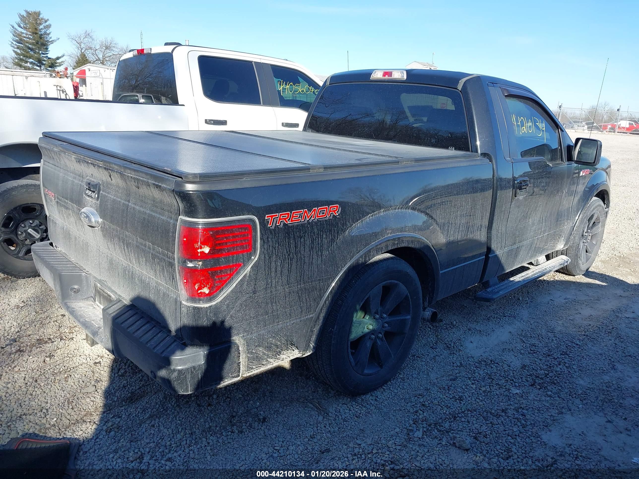 FORD F-150 image 4