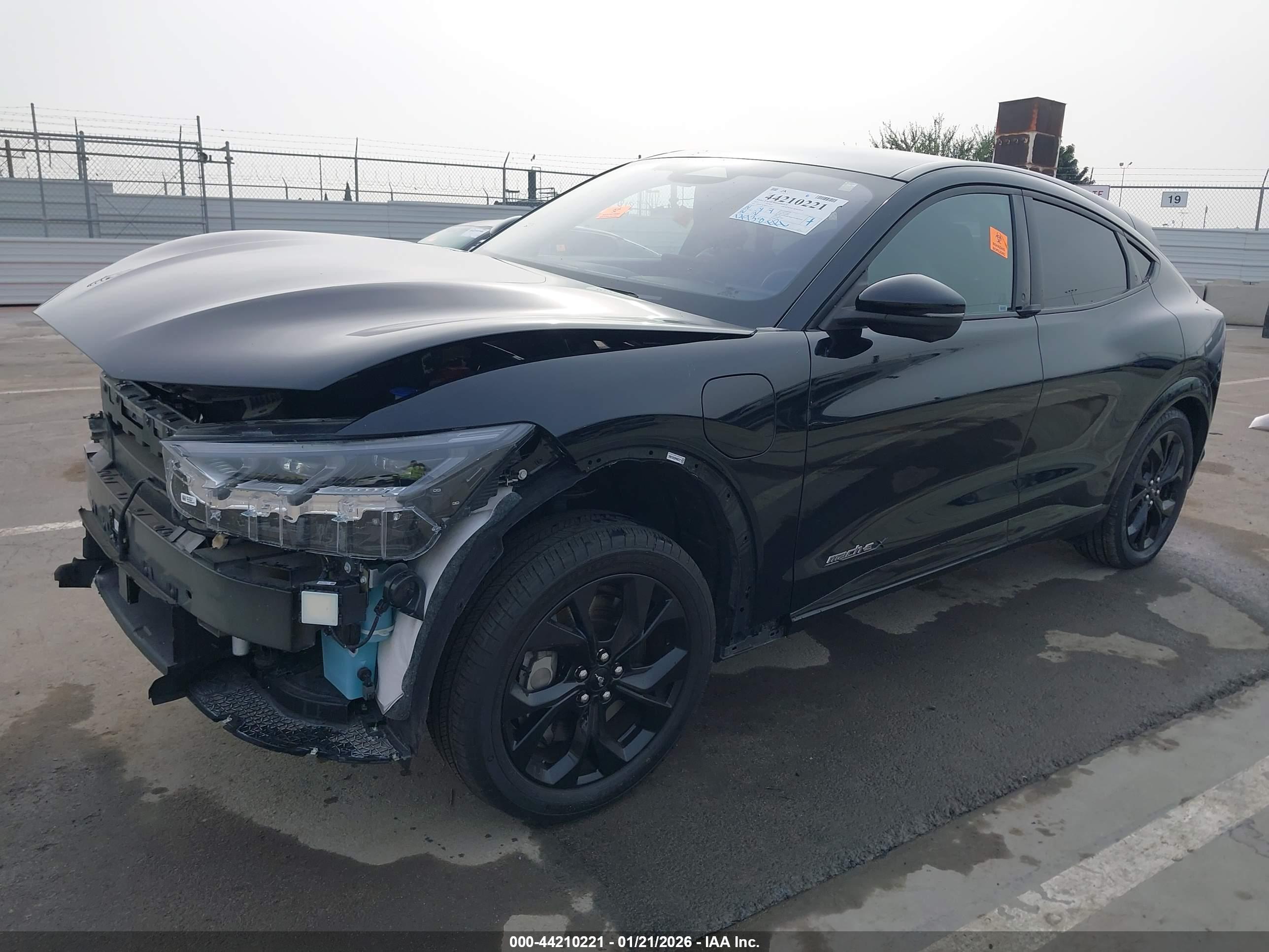 FORD MUSTANG image 2