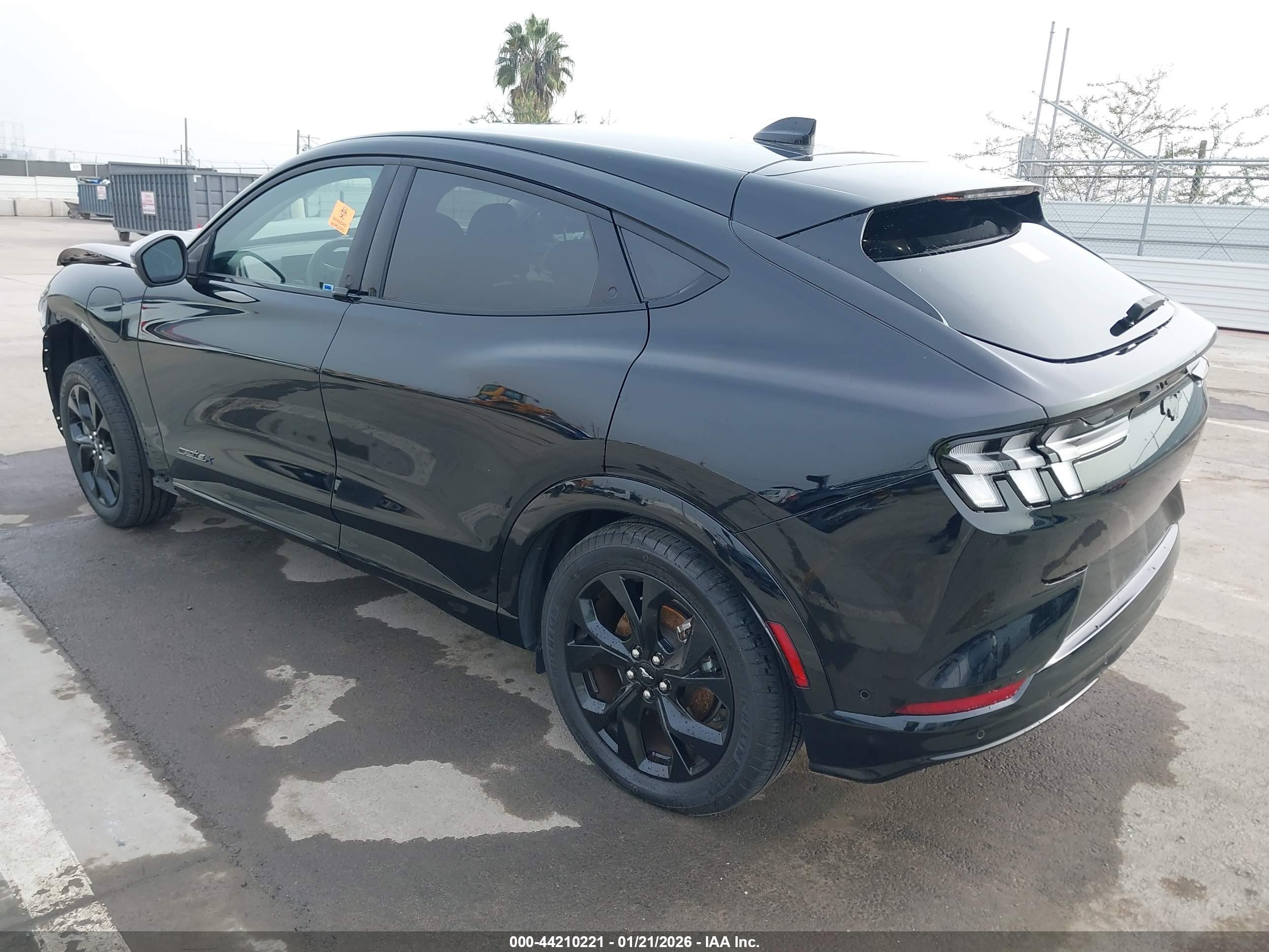 FORD MUSTANG image 3