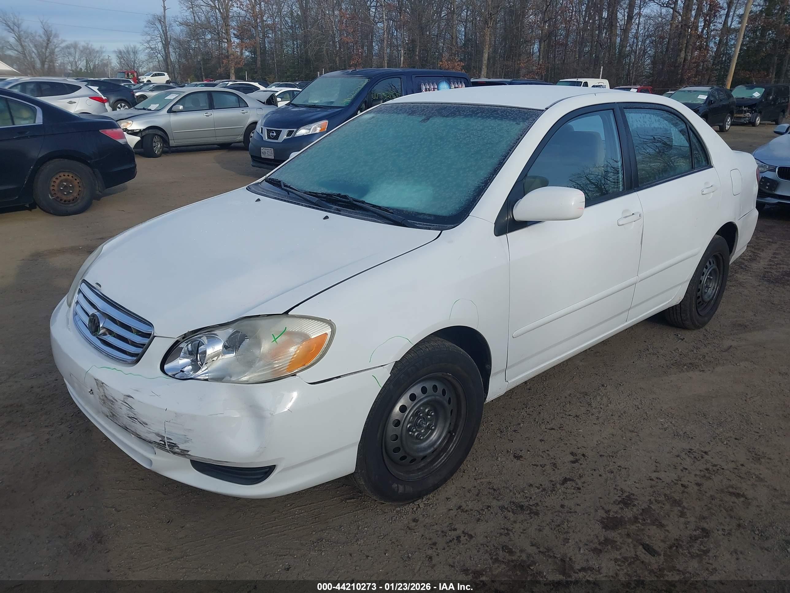 TOYOTA COROLLA image 2
