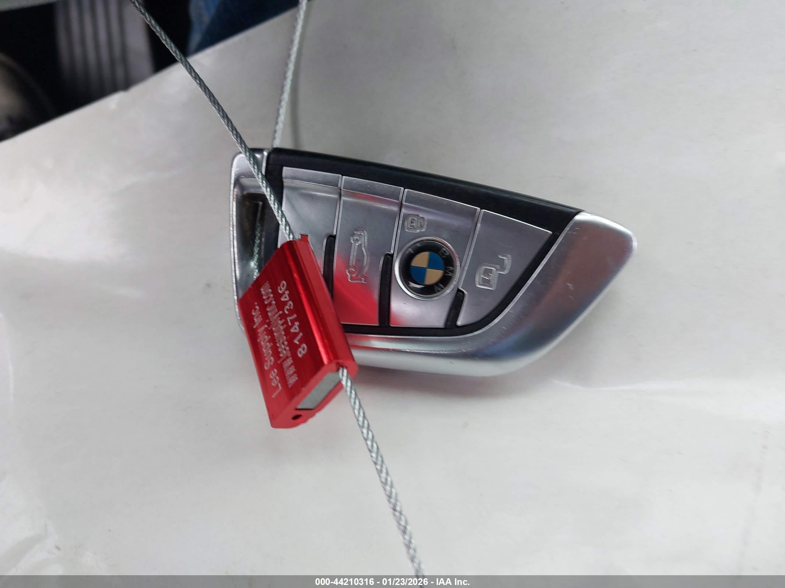 BMW X7 image 11