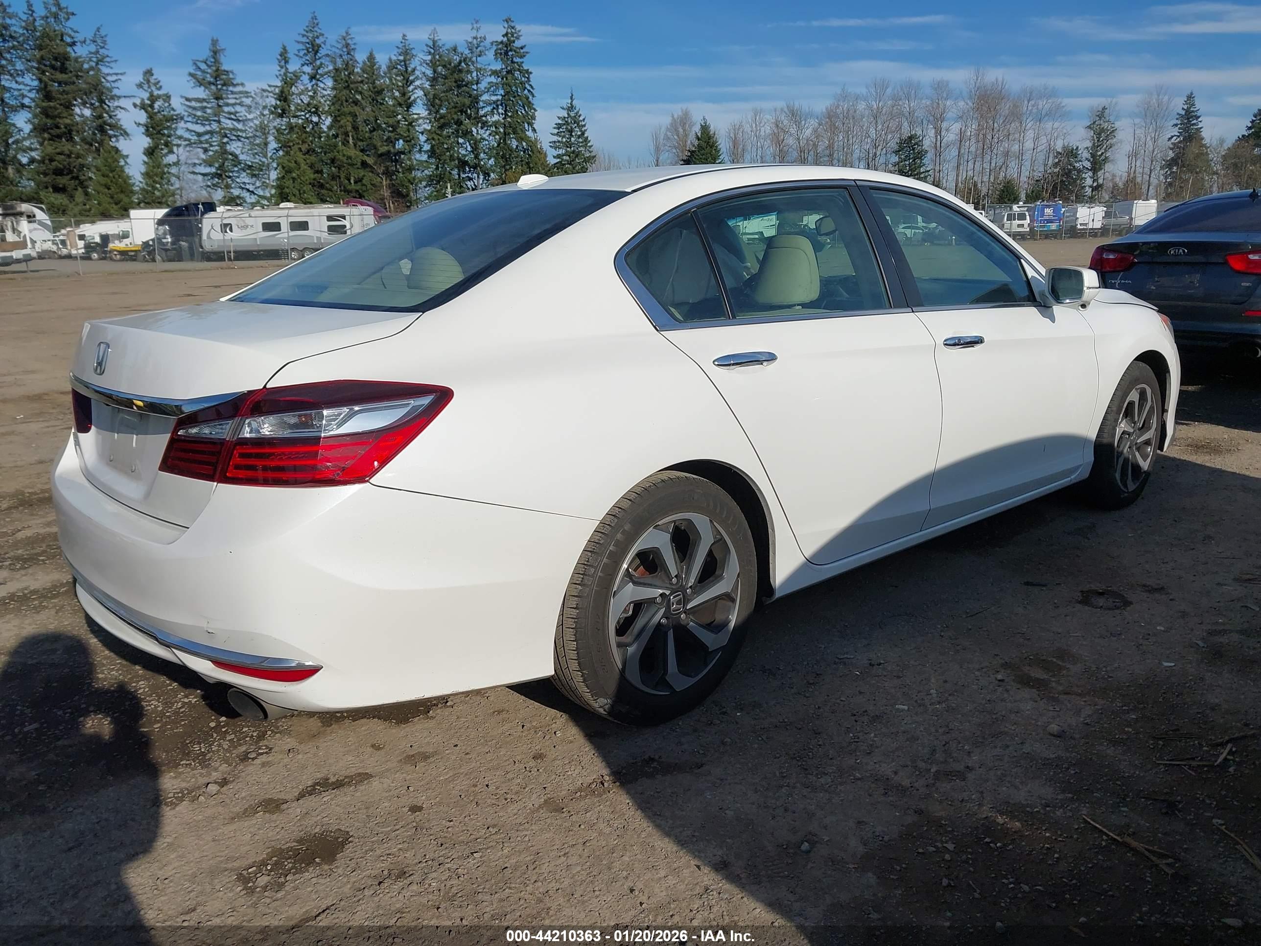 HONDA ACCORD image 4