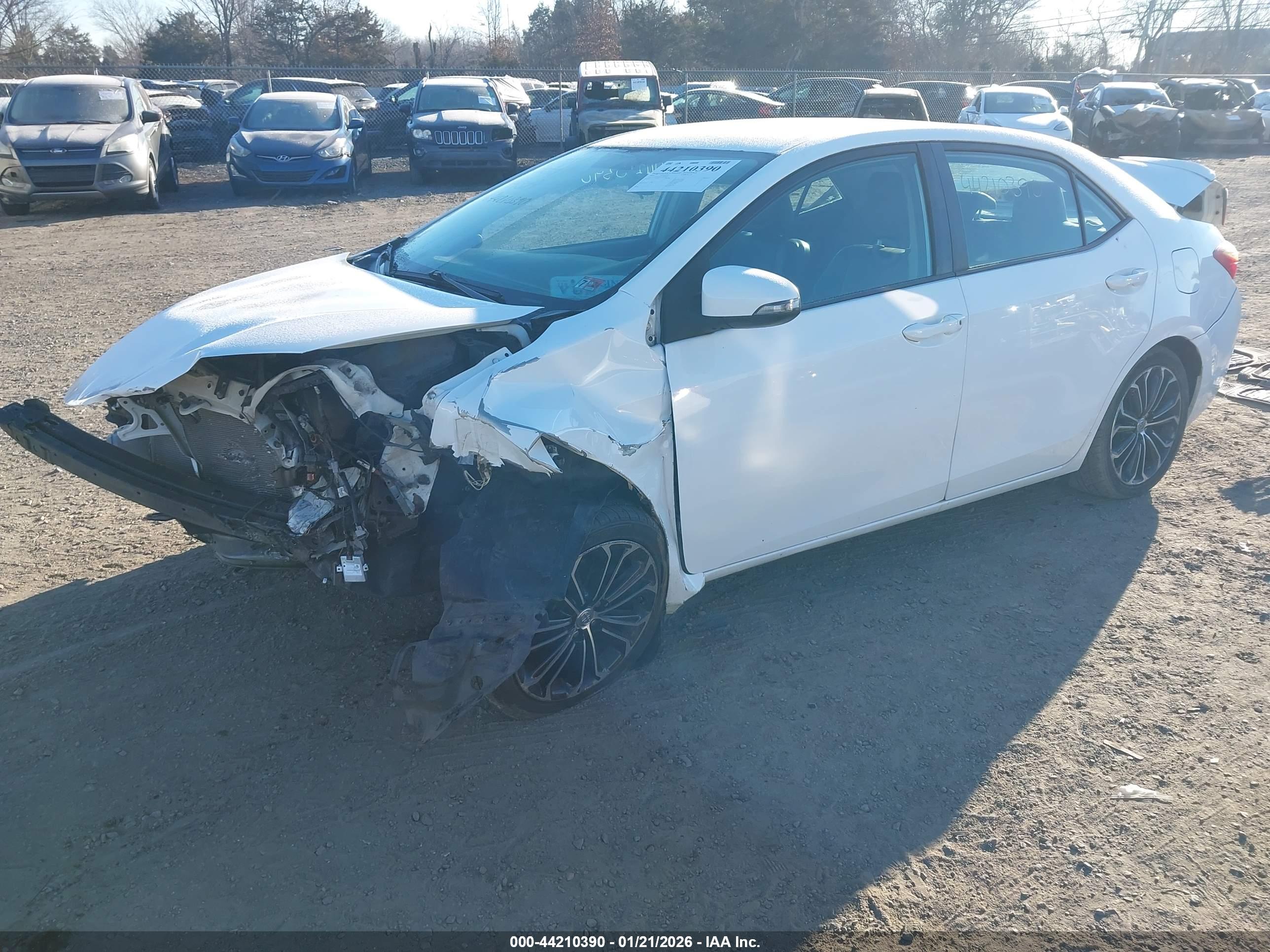 TOYOTA COROLLA image 2