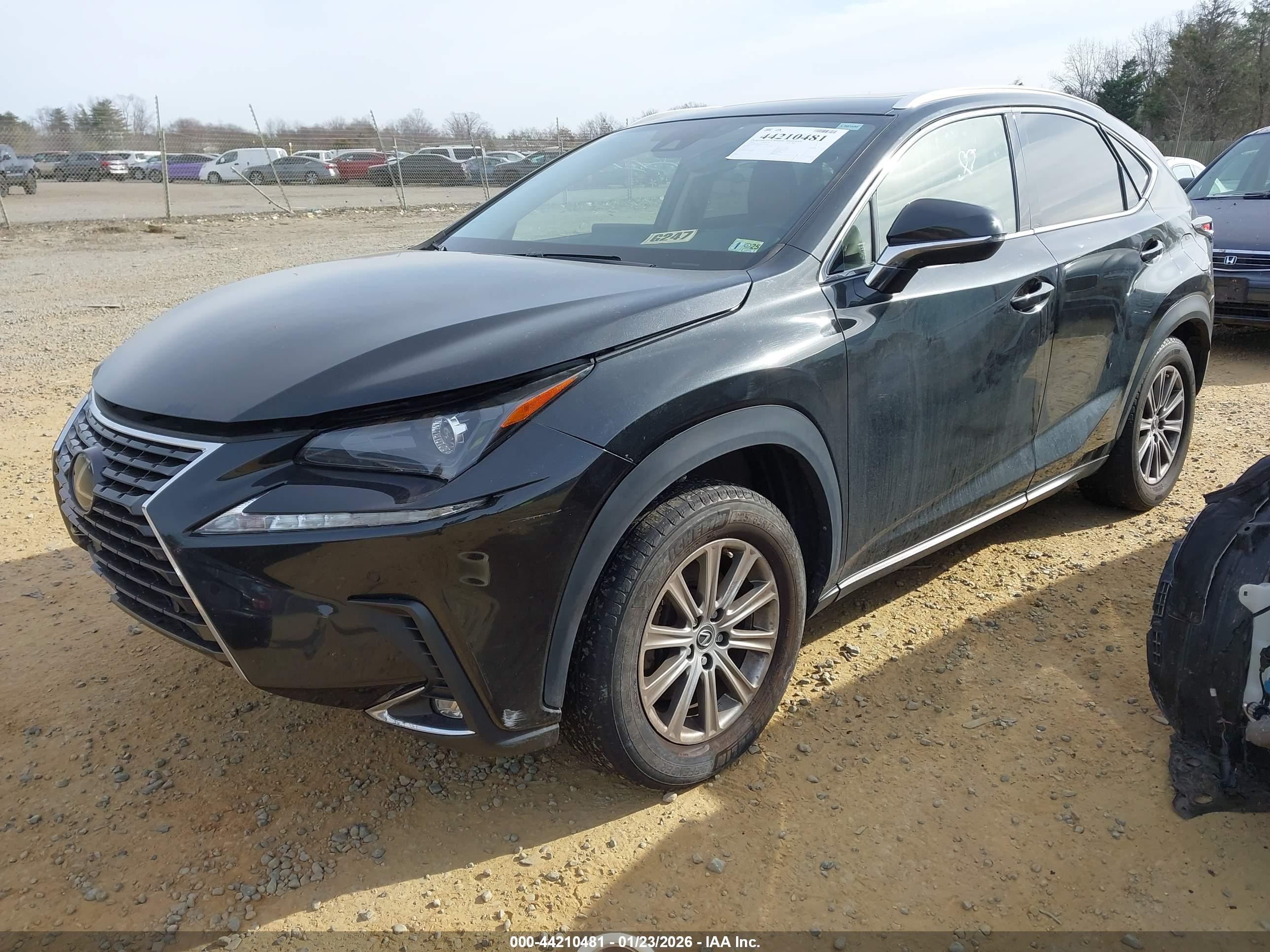 LEXUS NX image 2
