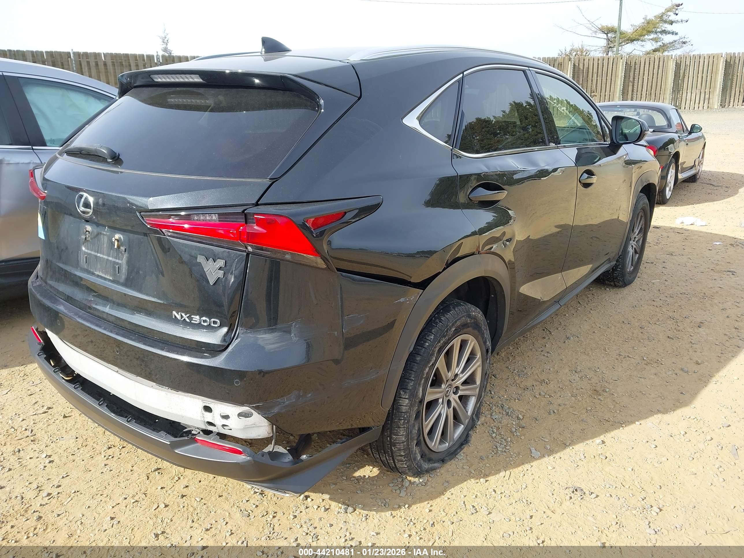 LEXUS NX image 4