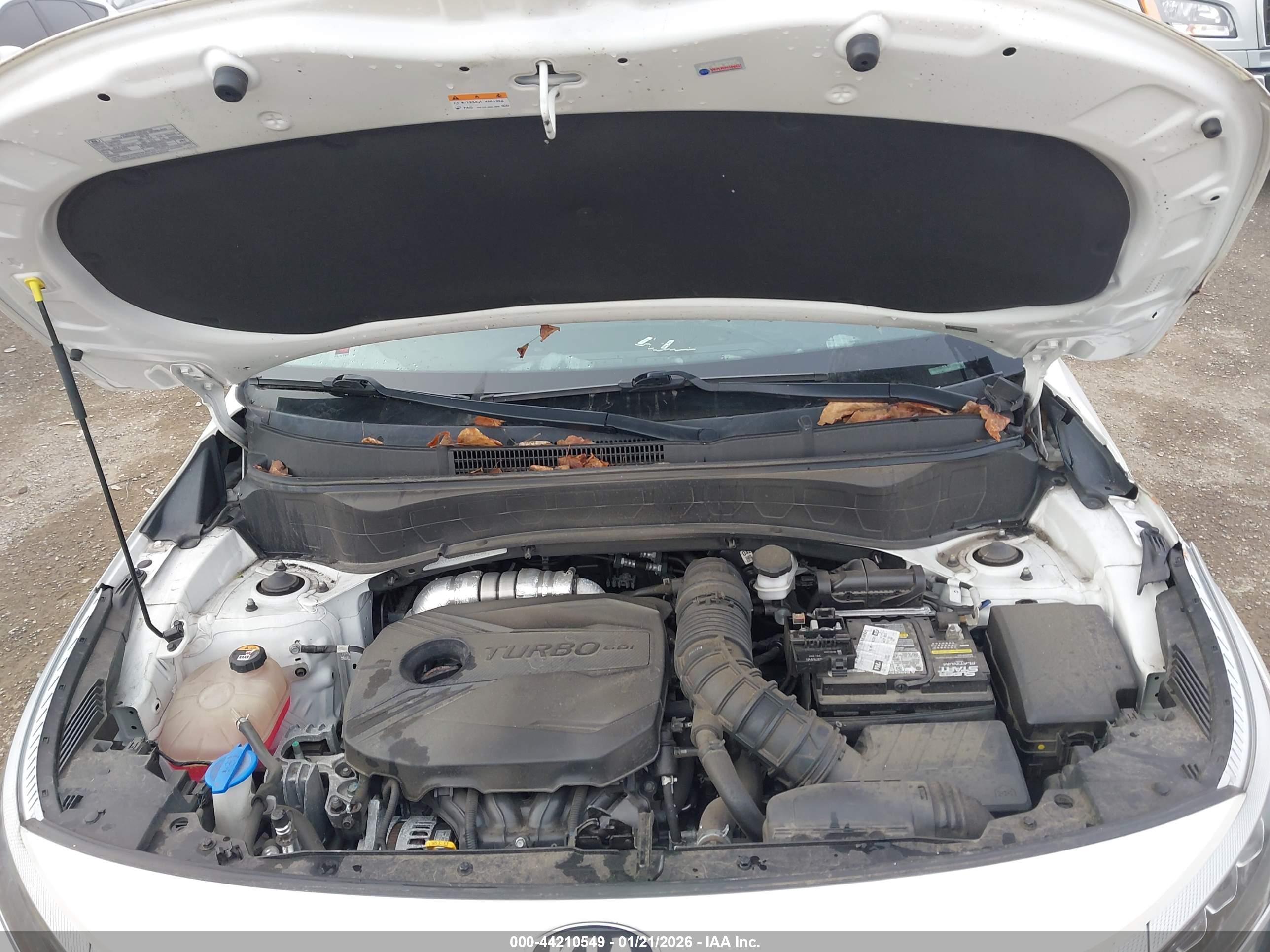 KIA SELTOS image 10