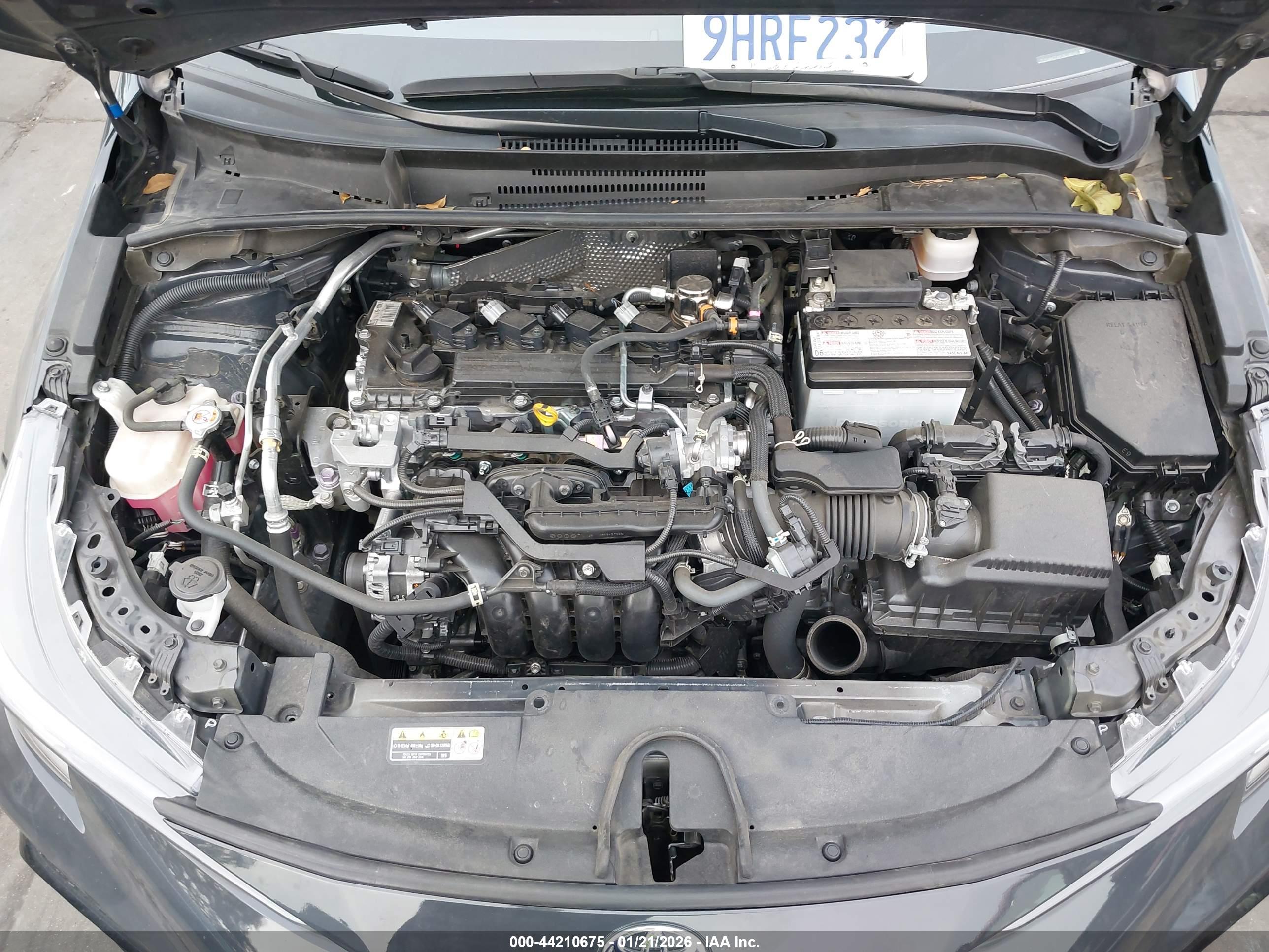 TOYOTA COROLLA image 10