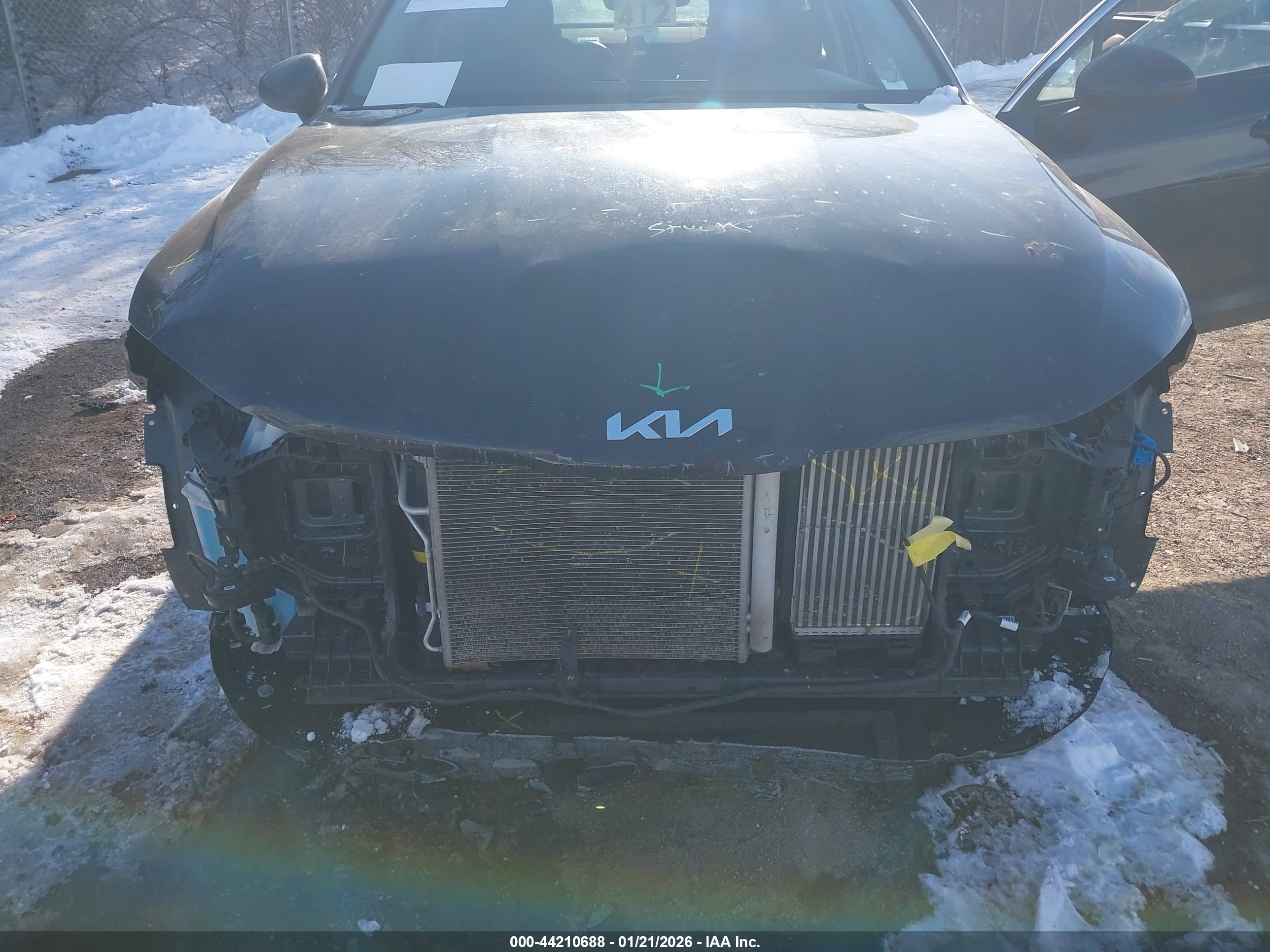 KIA K5 image 10