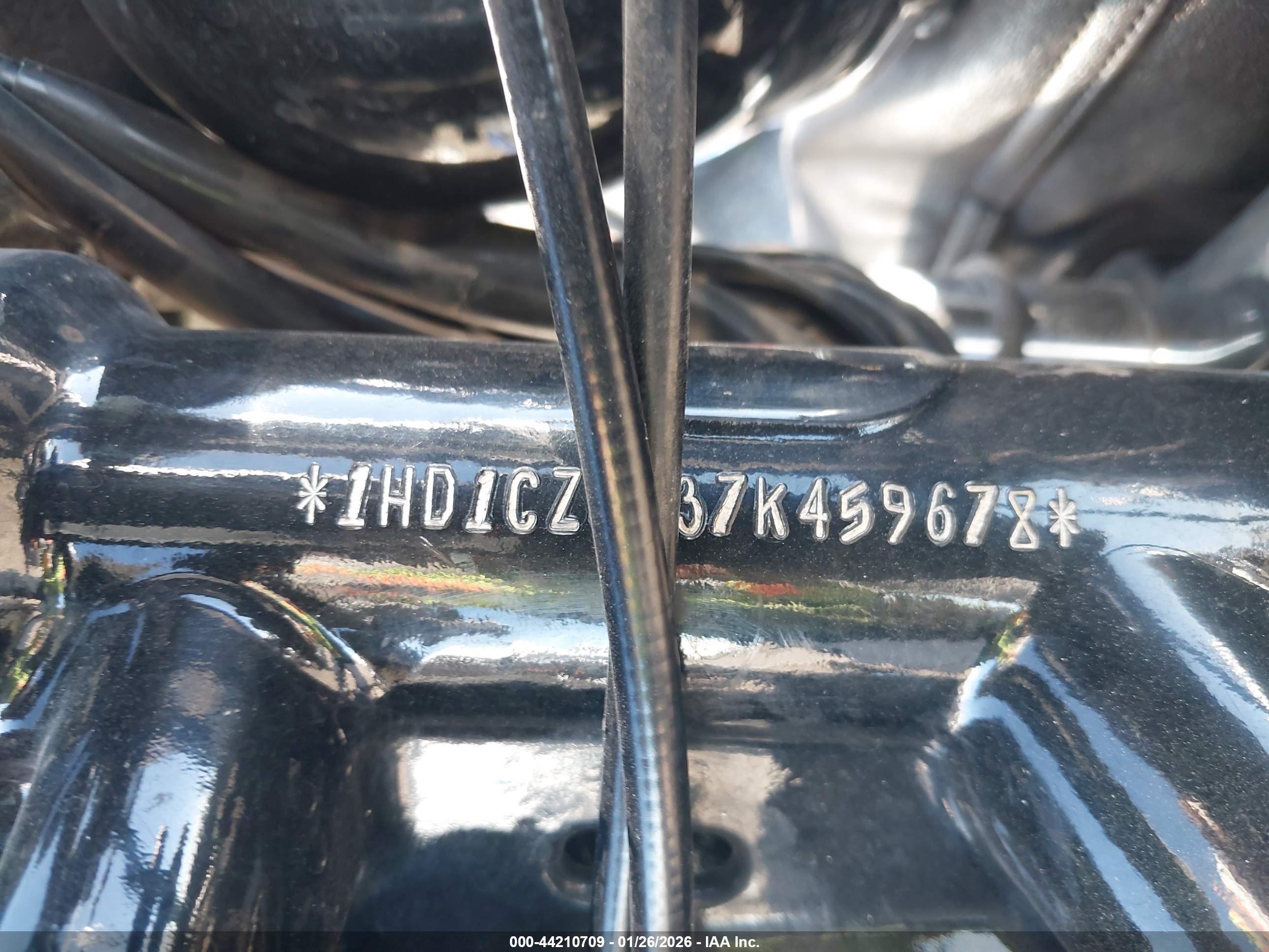 HARLEY-DAVIDSON XL1200 image 10
