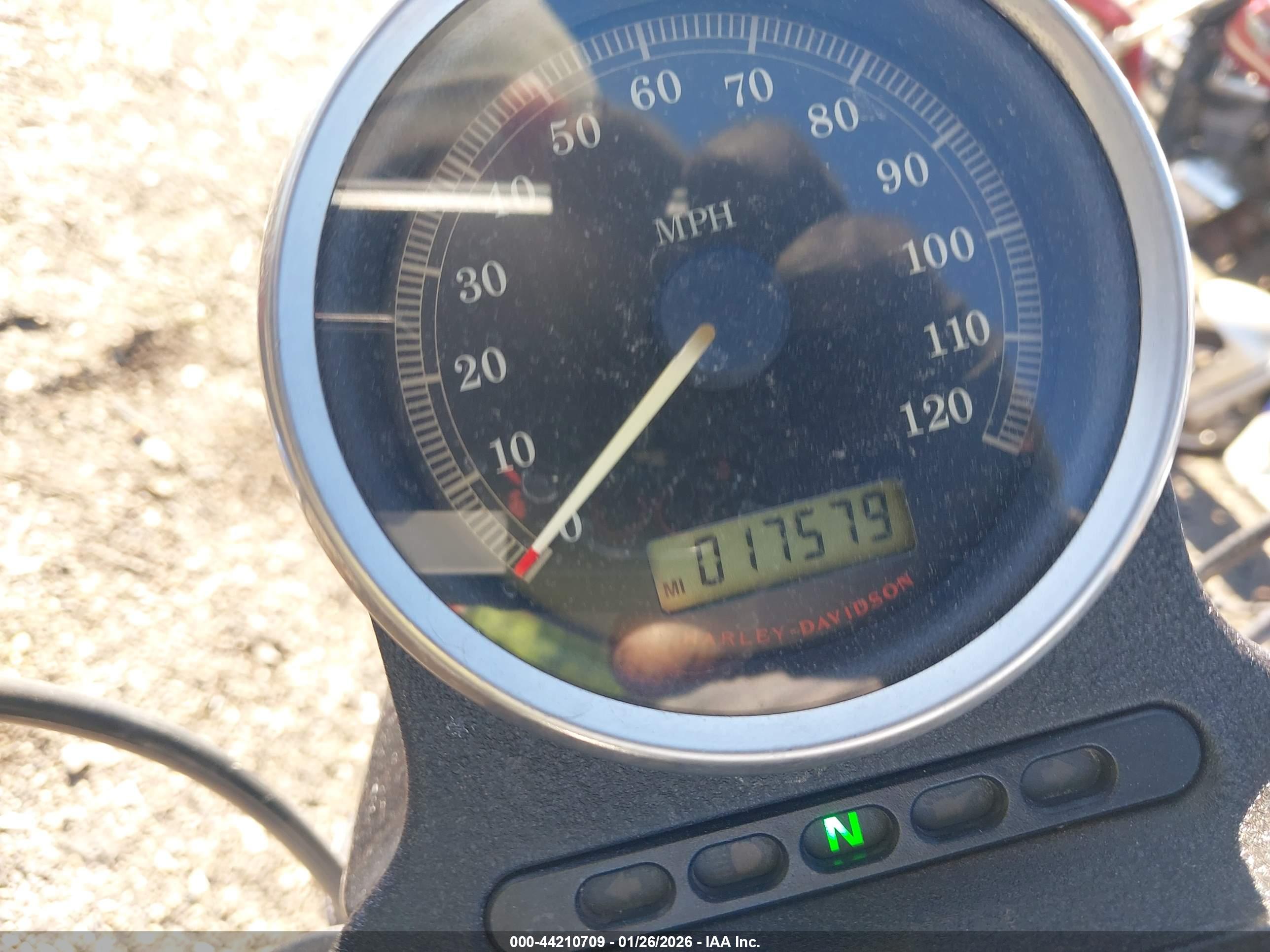 HARLEY-DAVIDSON XL1200 image 7