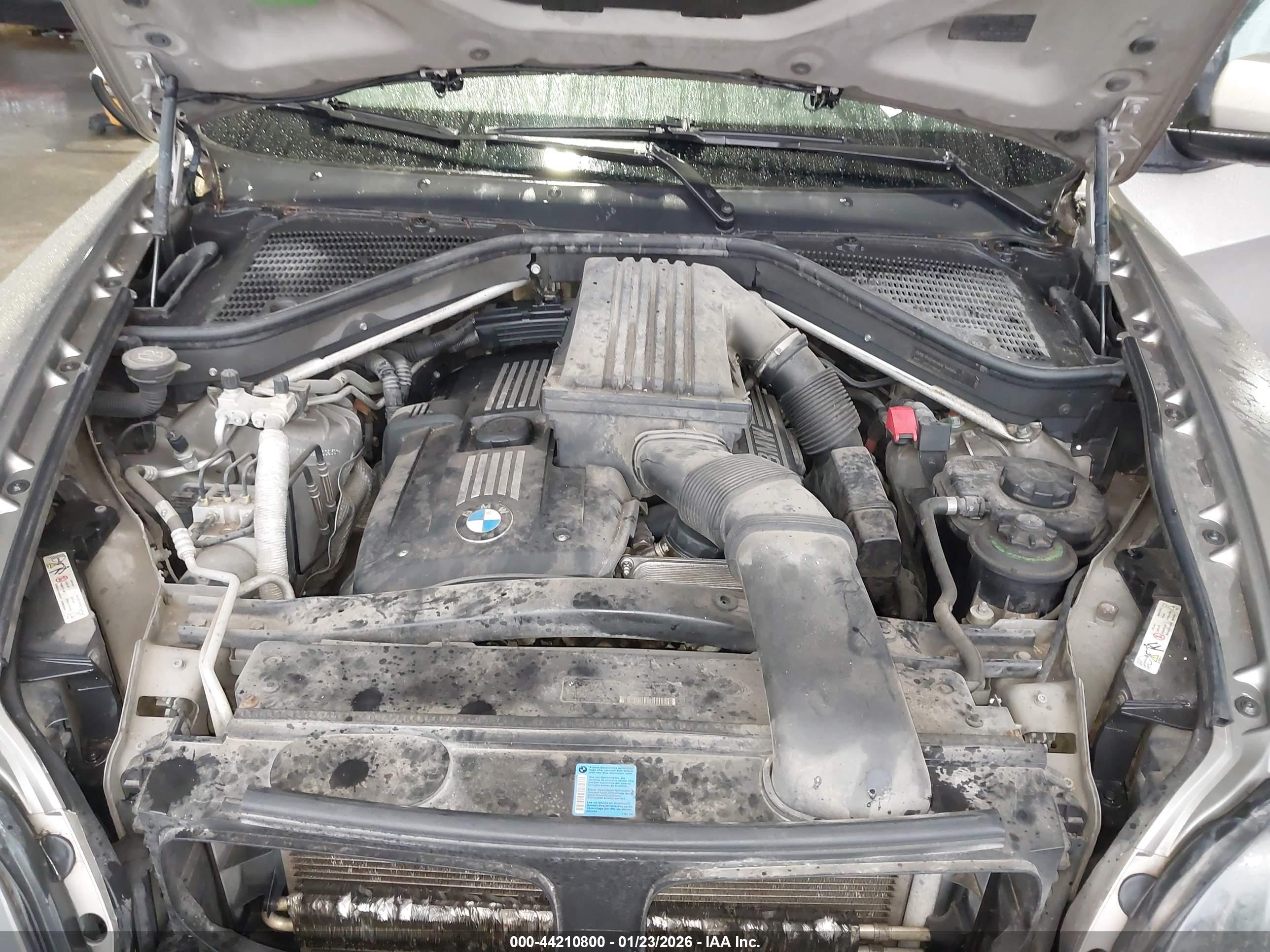 BMW X5 image 10
