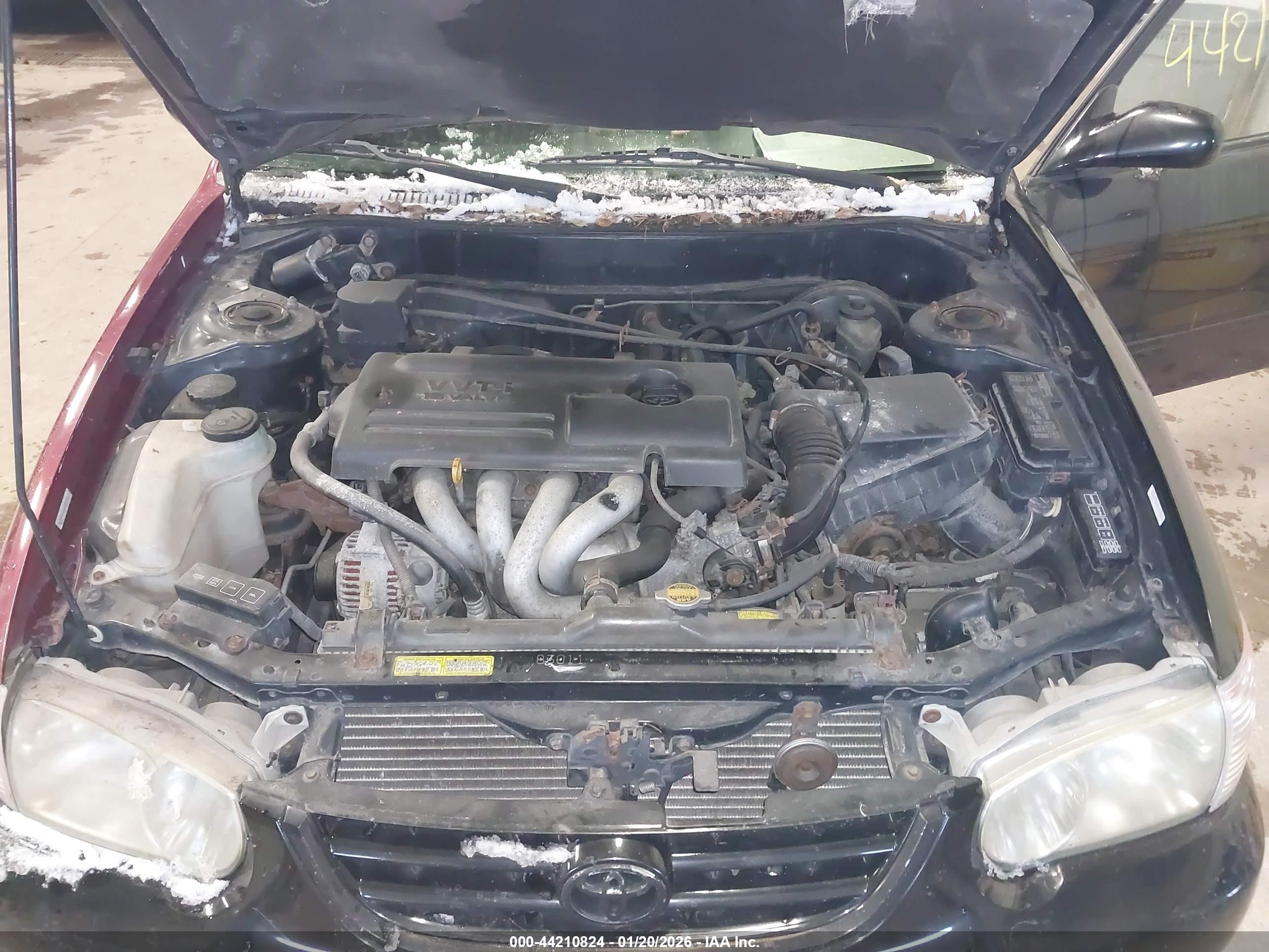 TOYOTA COROLLA image 10