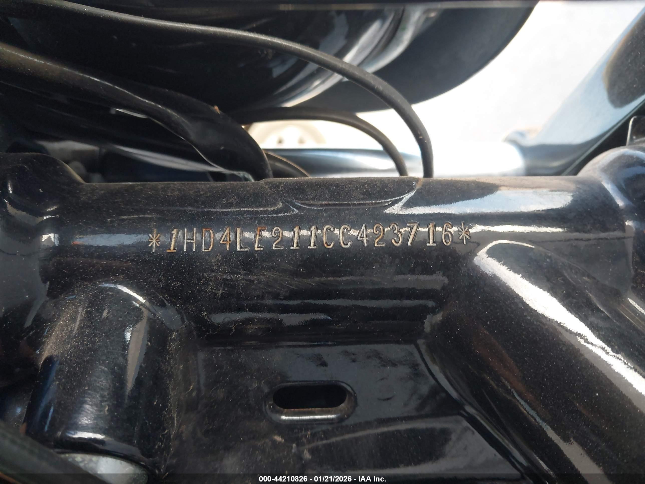 HARLEY-DAVIDSON XL883 image 10