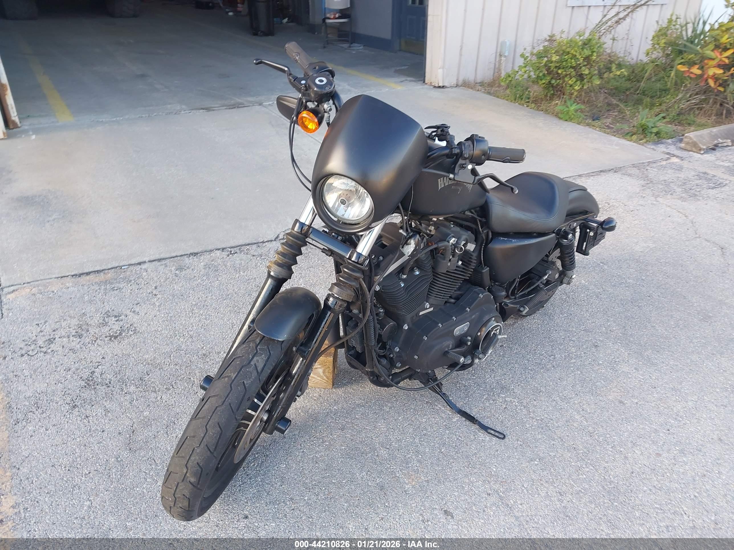 HARLEY-DAVIDSON XL883 image 2