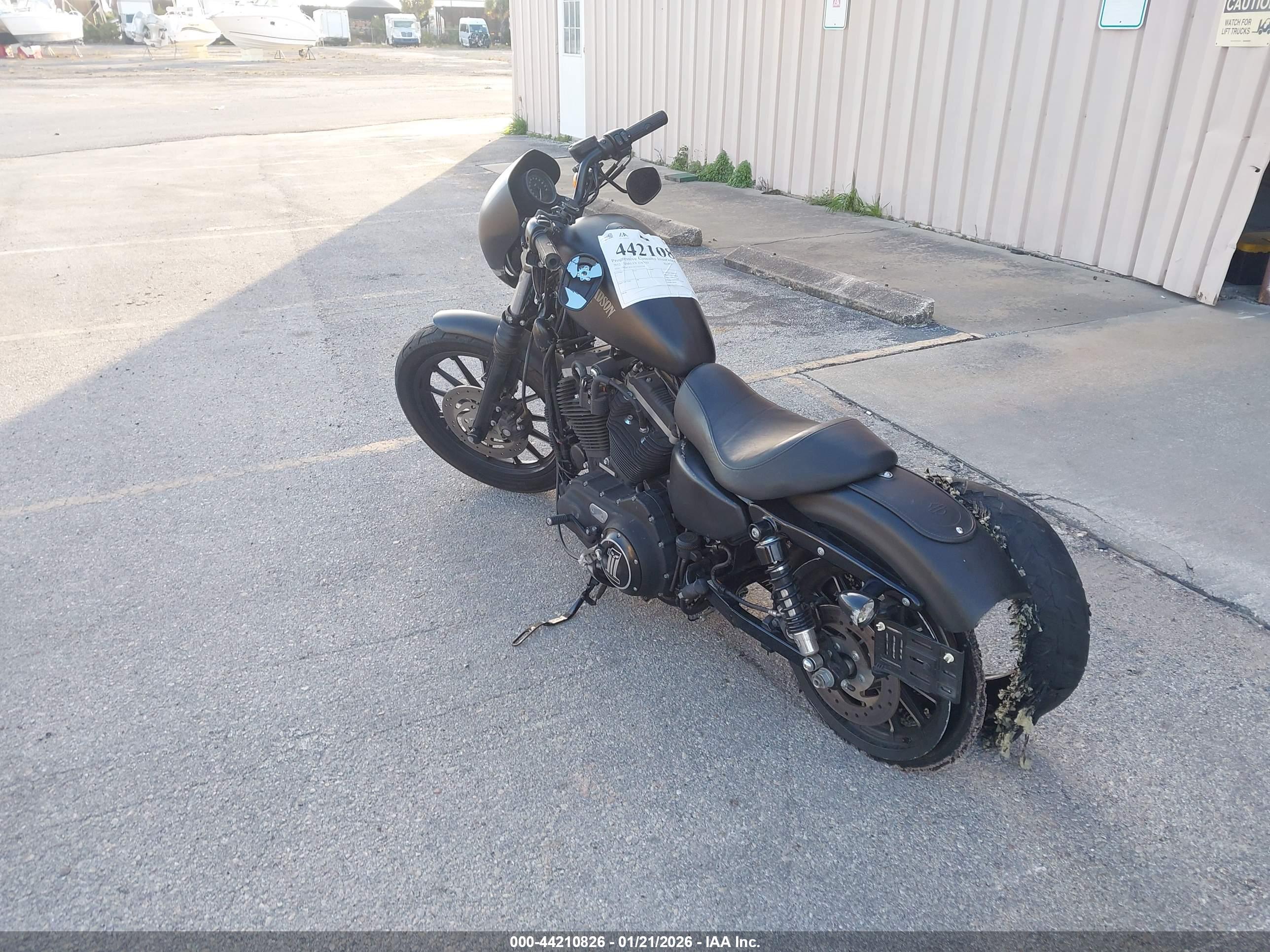 HARLEY-DAVIDSON XL883 image 3