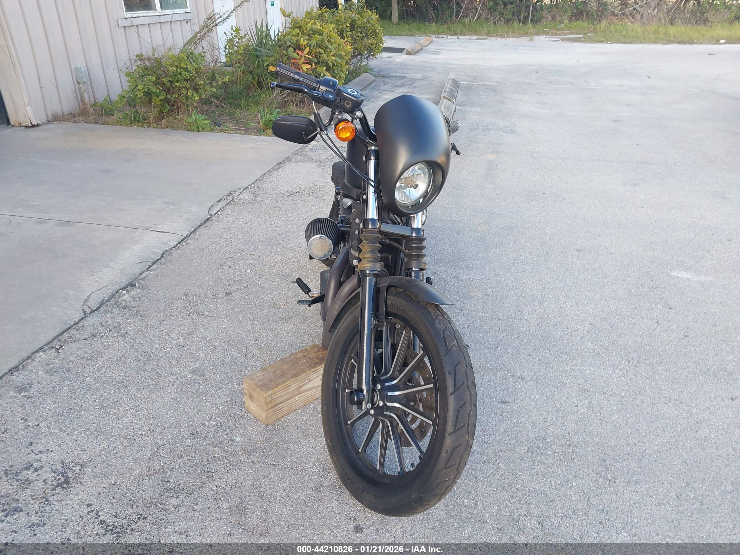 HARLEY-DAVIDSON XL883 image 5