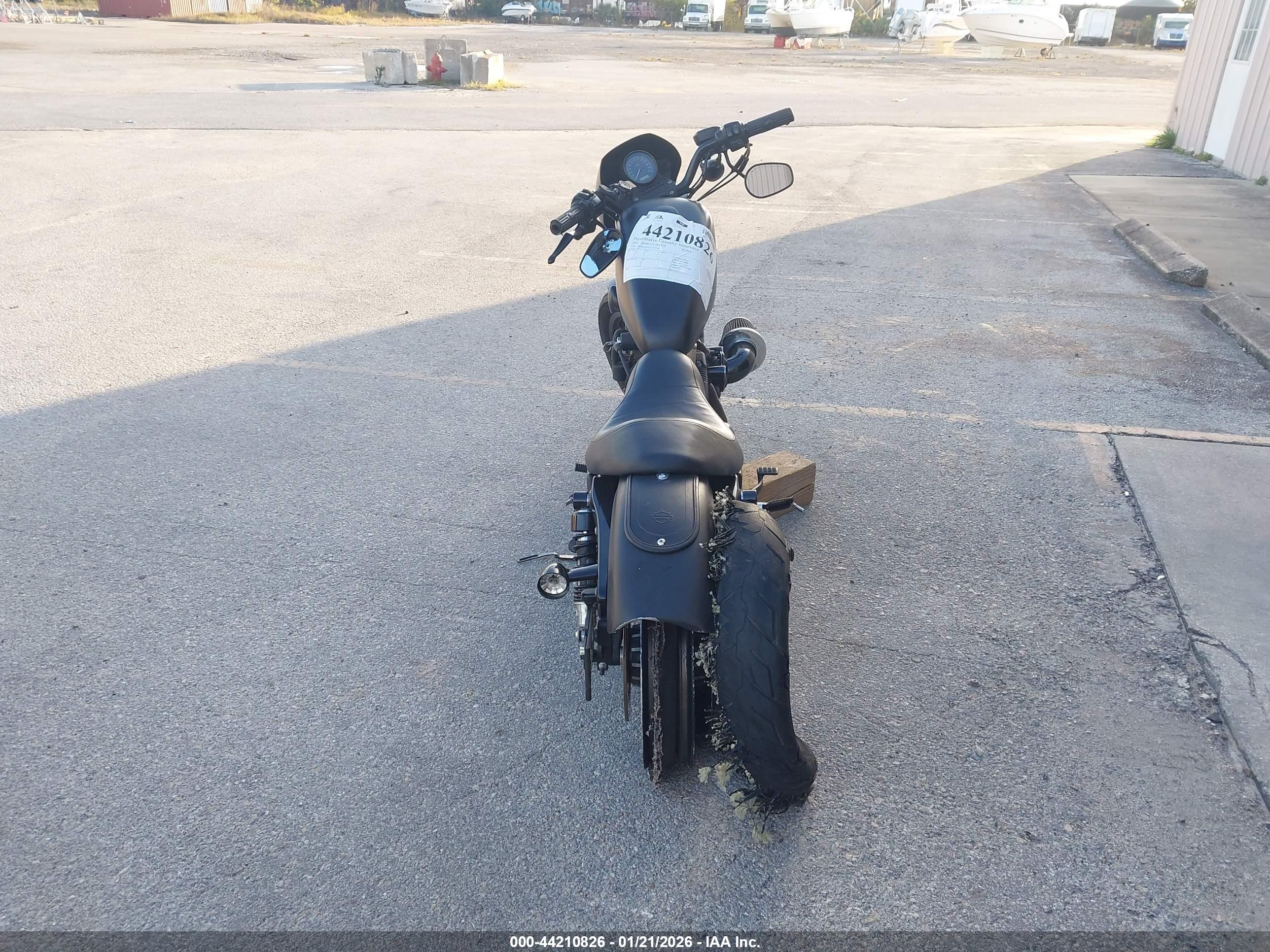 HARLEY-DAVIDSON XL883 image 6