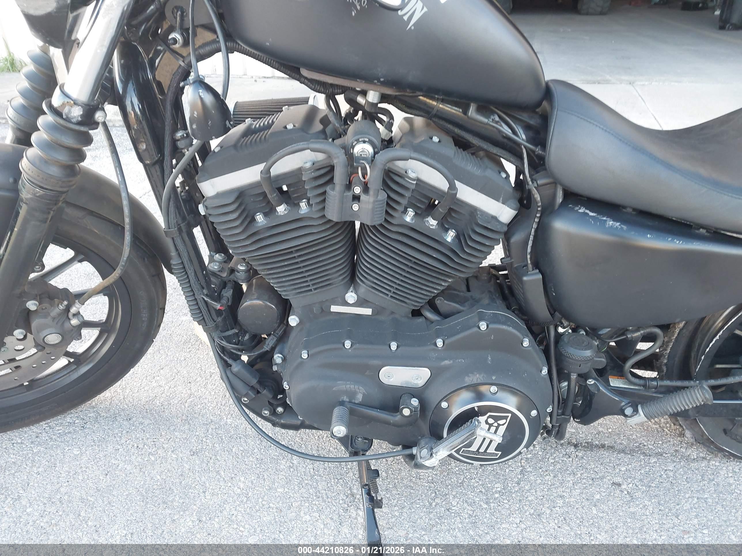 HARLEY-DAVIDSON XL883 image 9