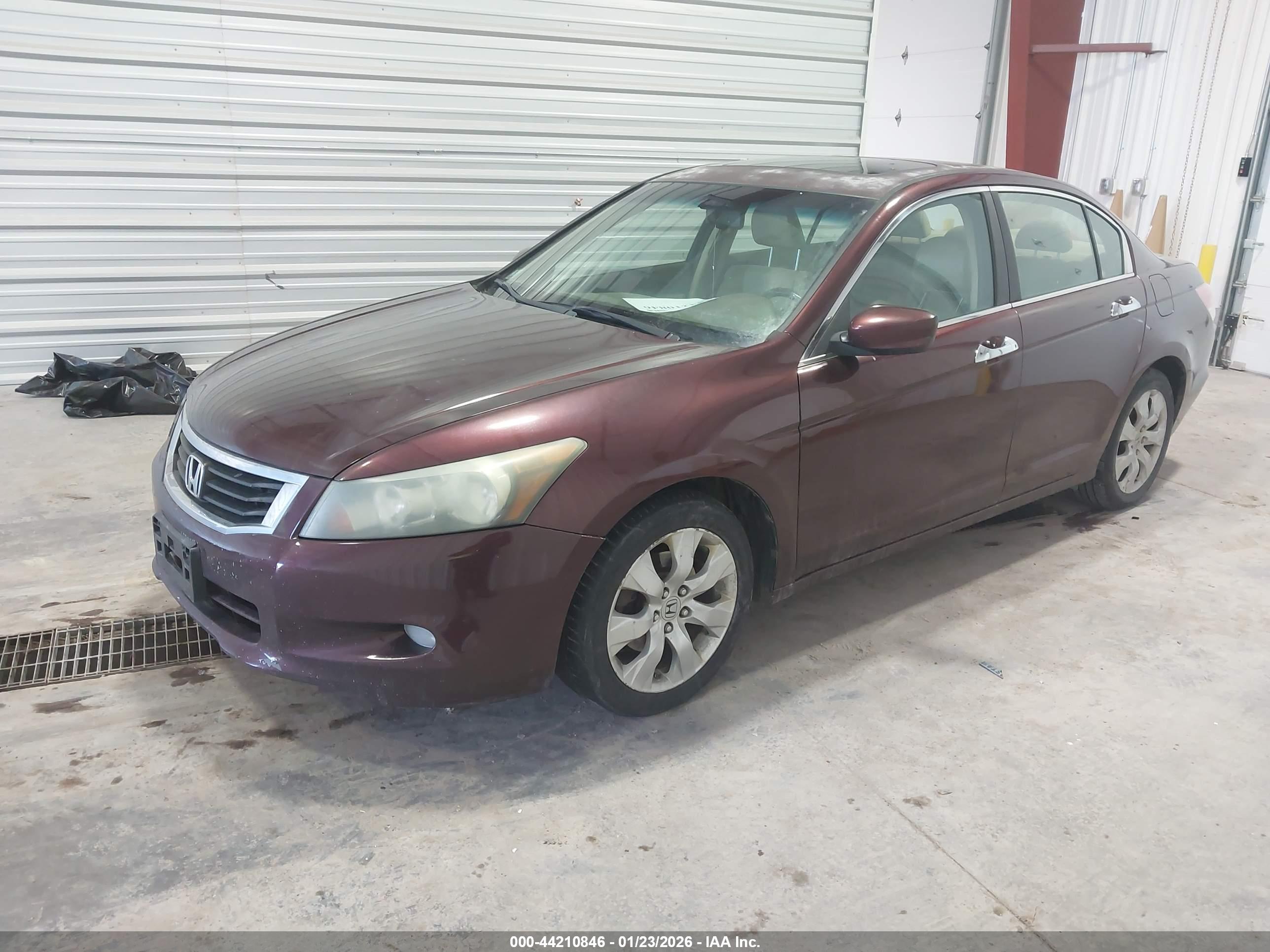 HONDA ACCORD image 2
