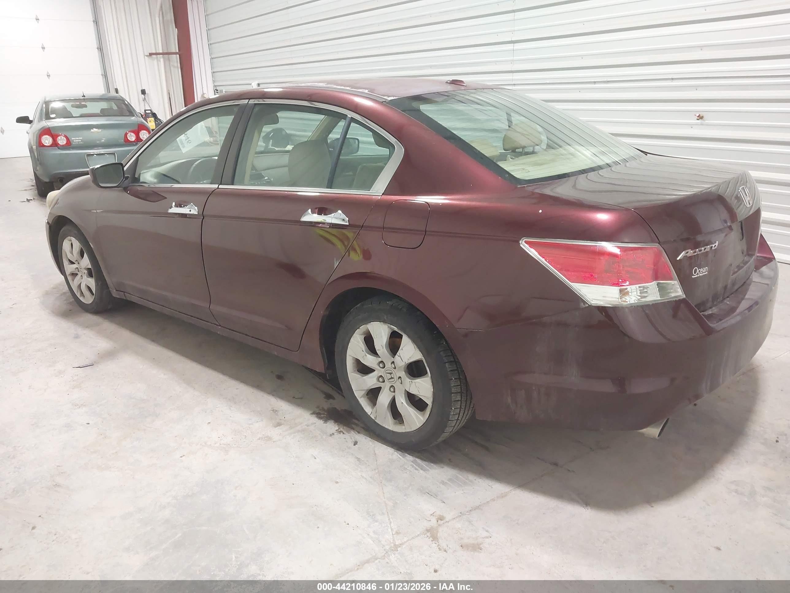 HONDA ACCORD image 3