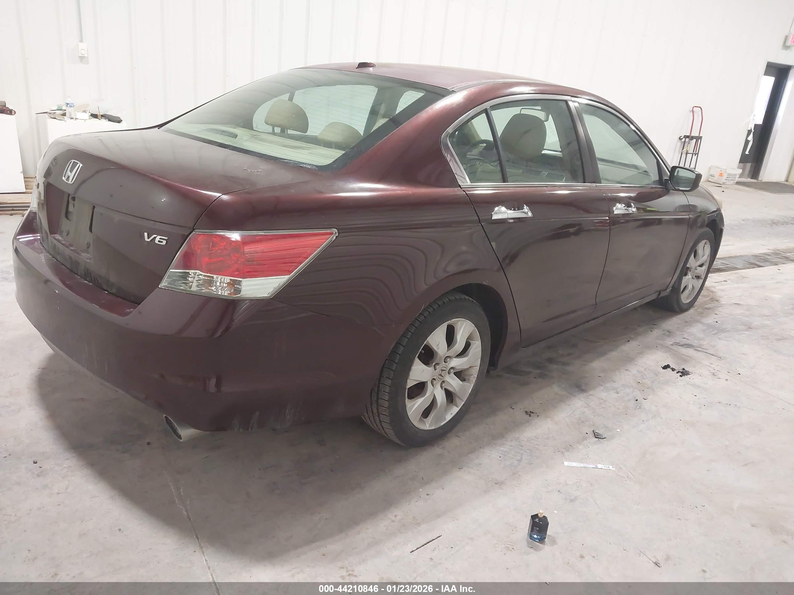 HONDA ACCORD image 4