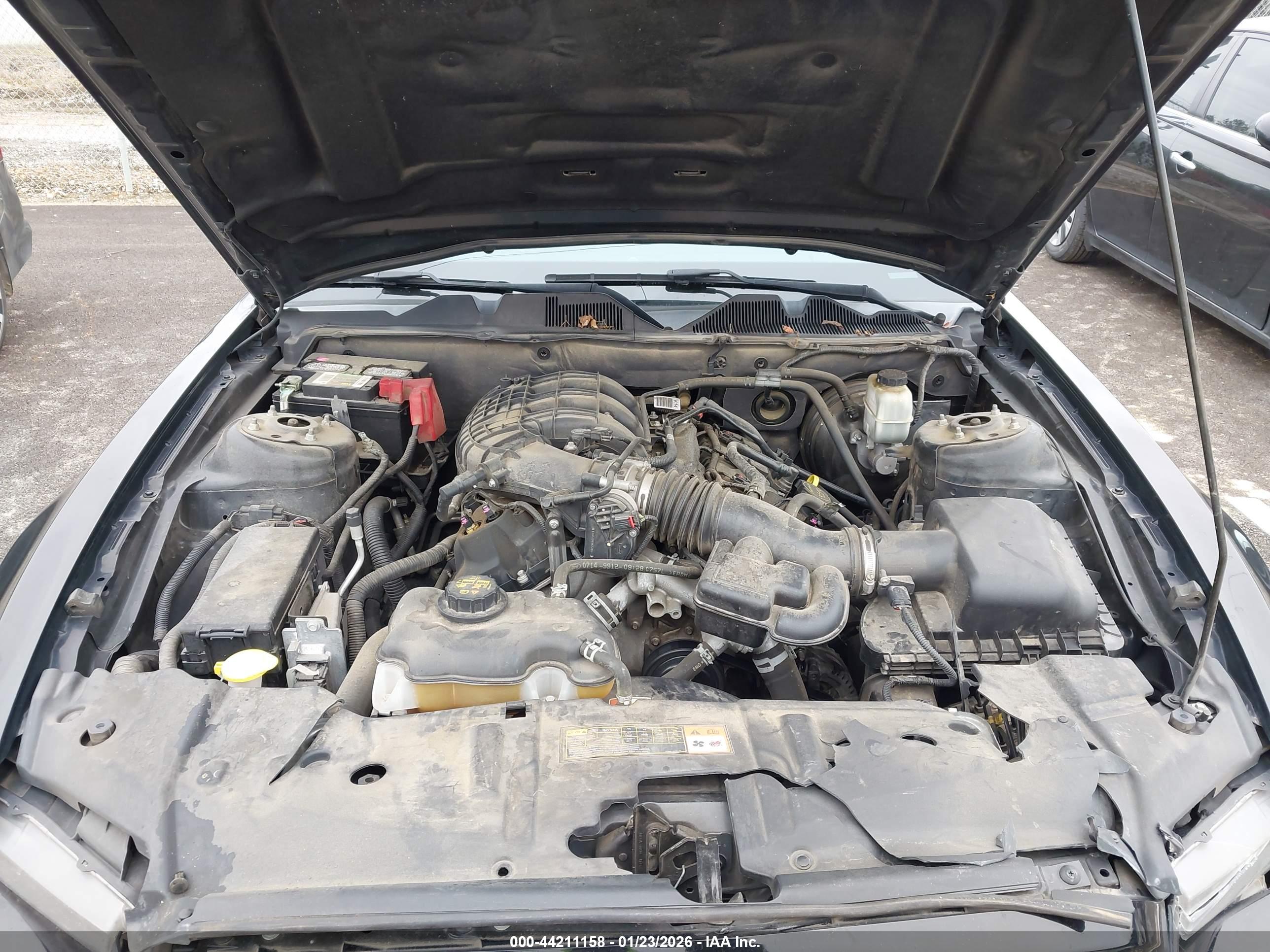 FORD MUSTANG image 10