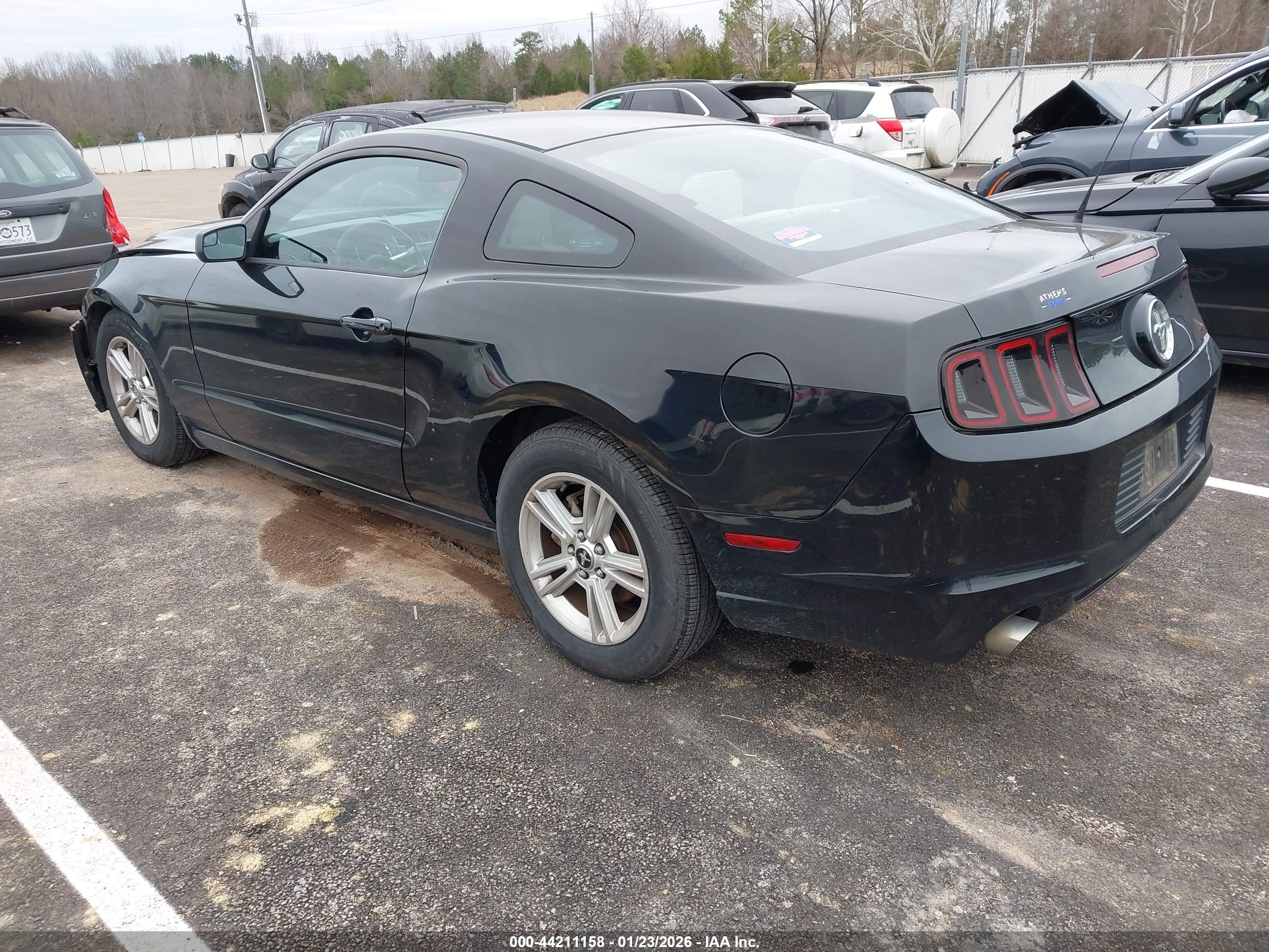 FORD MUSTANG image 3