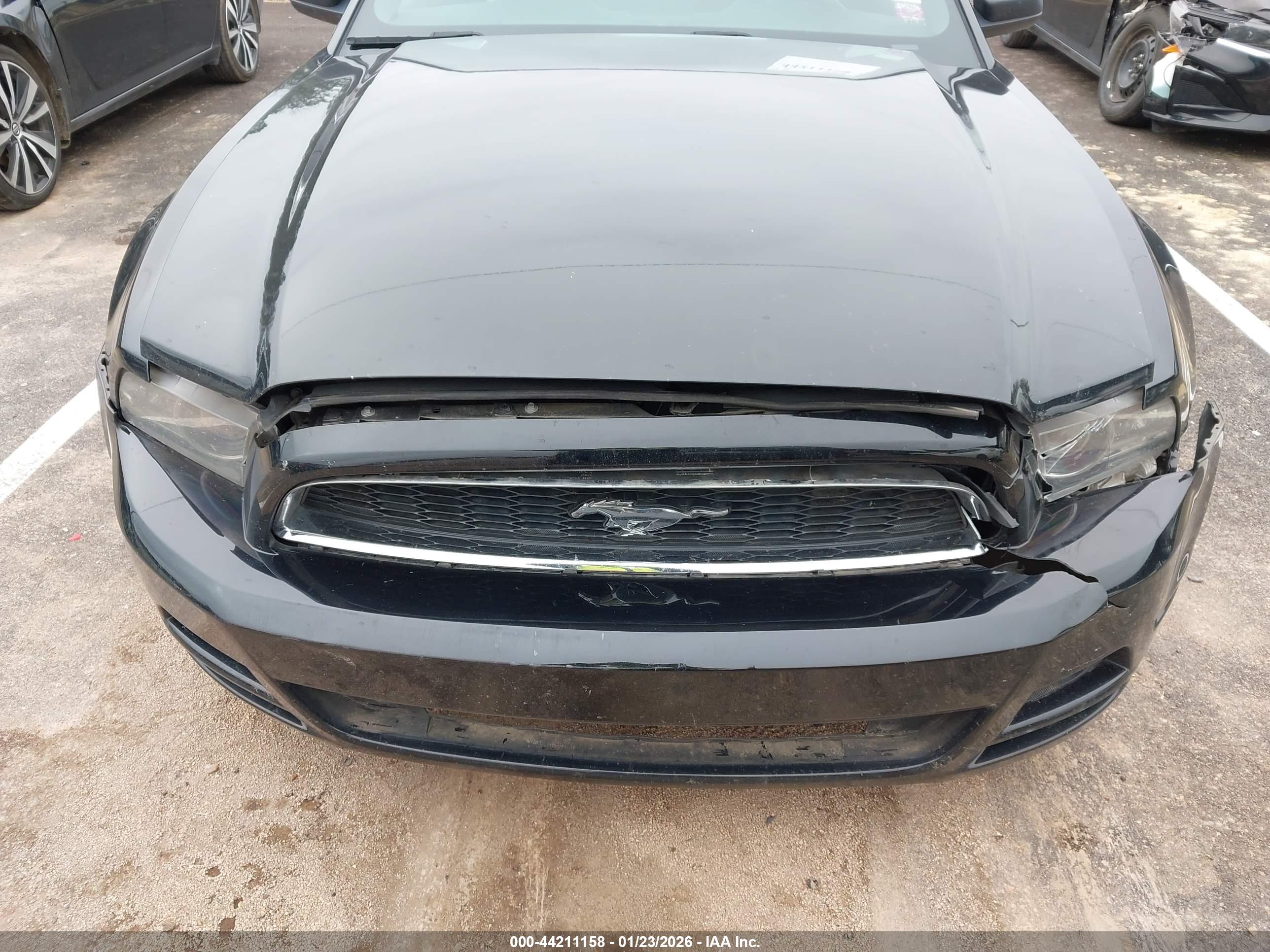 FORD MUSTANG image 6