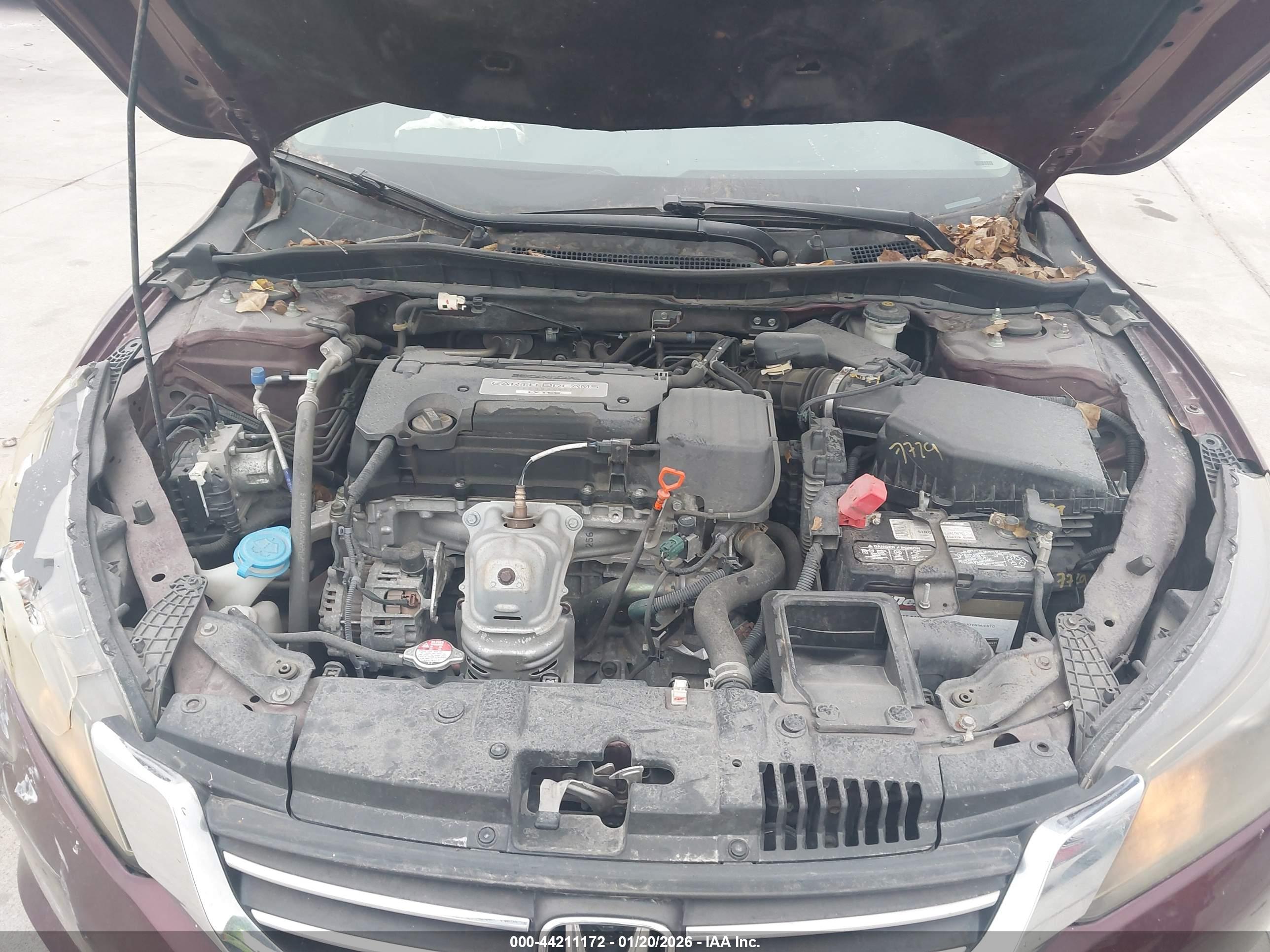 HONDA ACCORD image 10