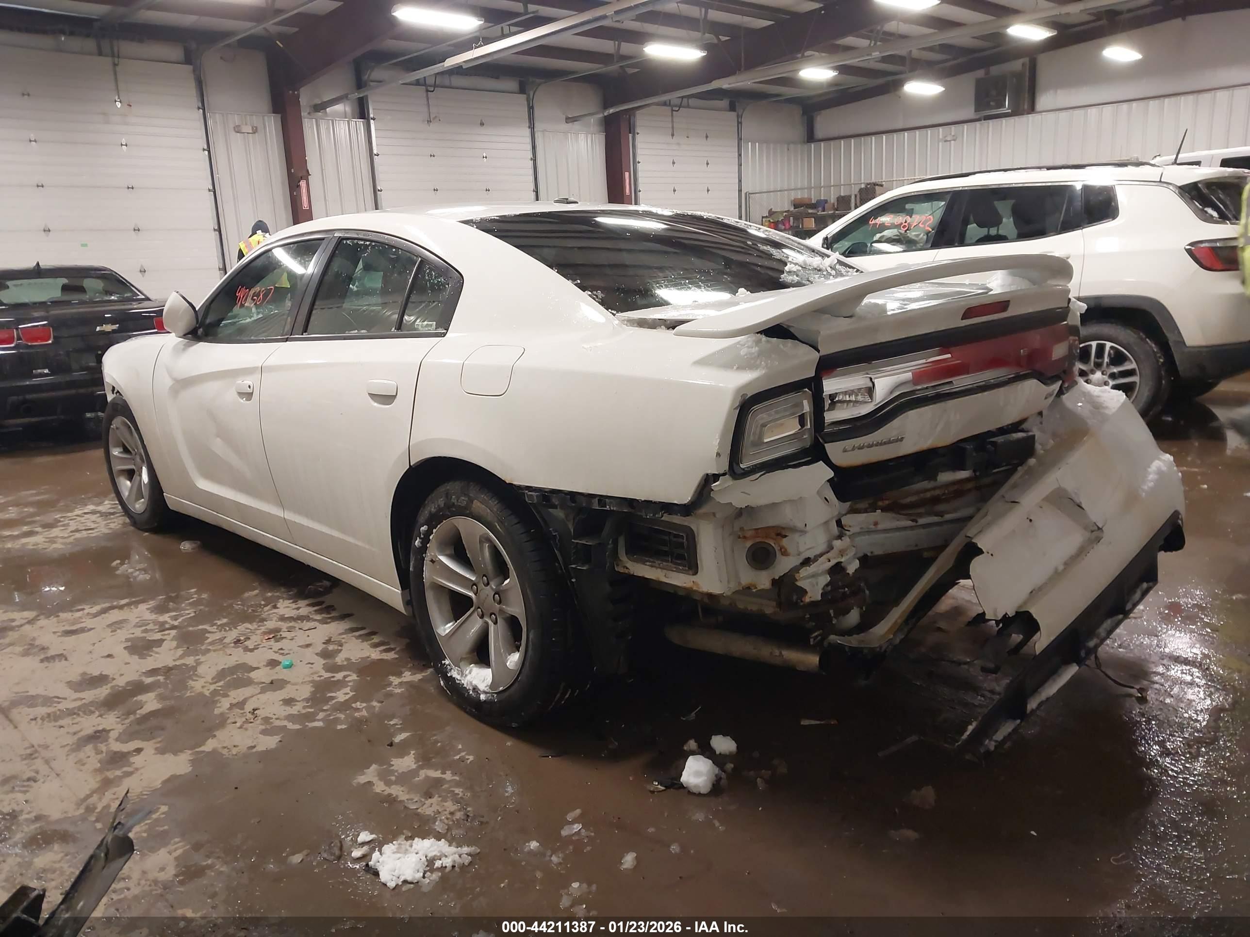 DODGE CHARGER image 3