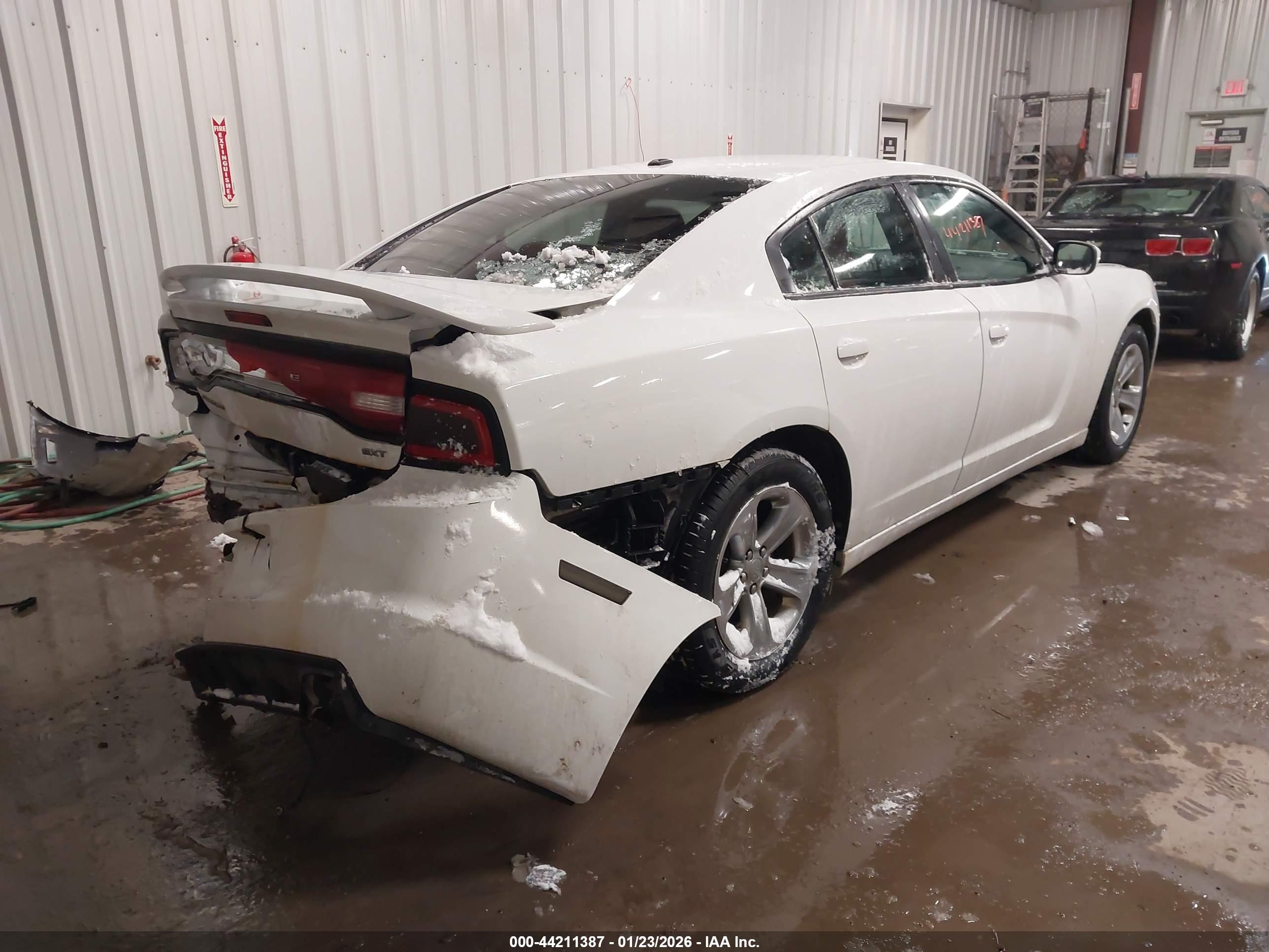 DODGE CHARGER image 4