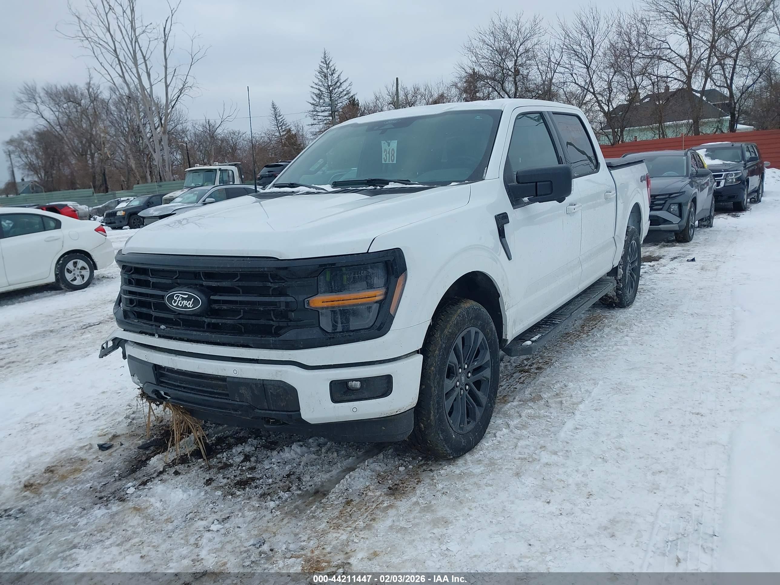 FORD F-150 image 2