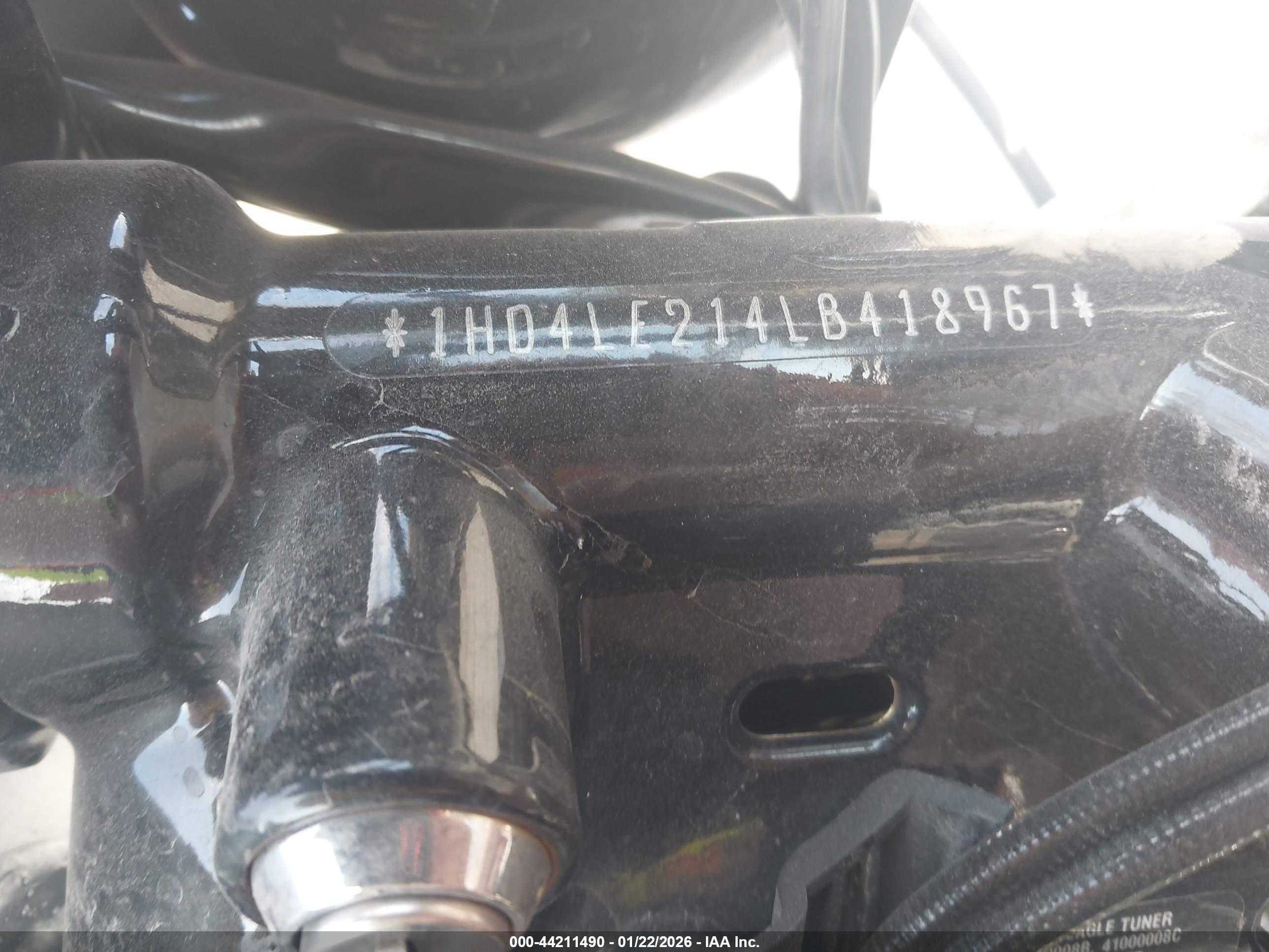 HARLEY-DAVIDSON XL883 image 10