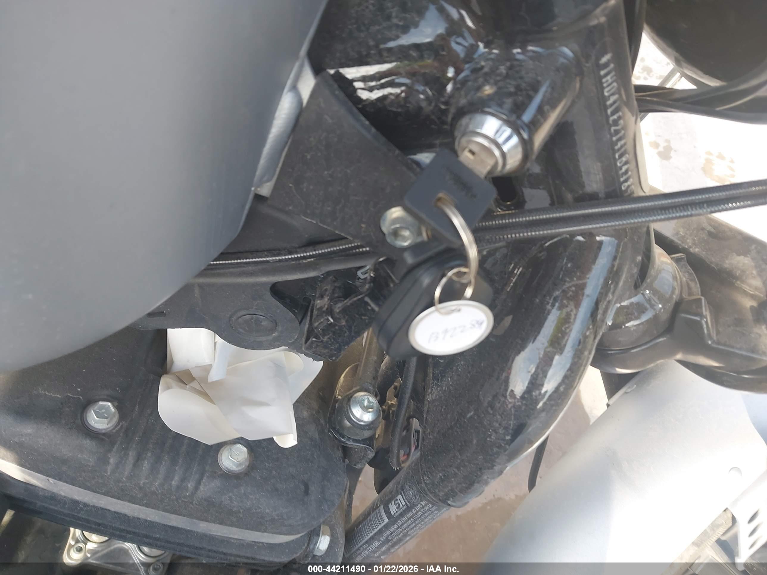 HARLEY-DAVIDSON XL883 image 11