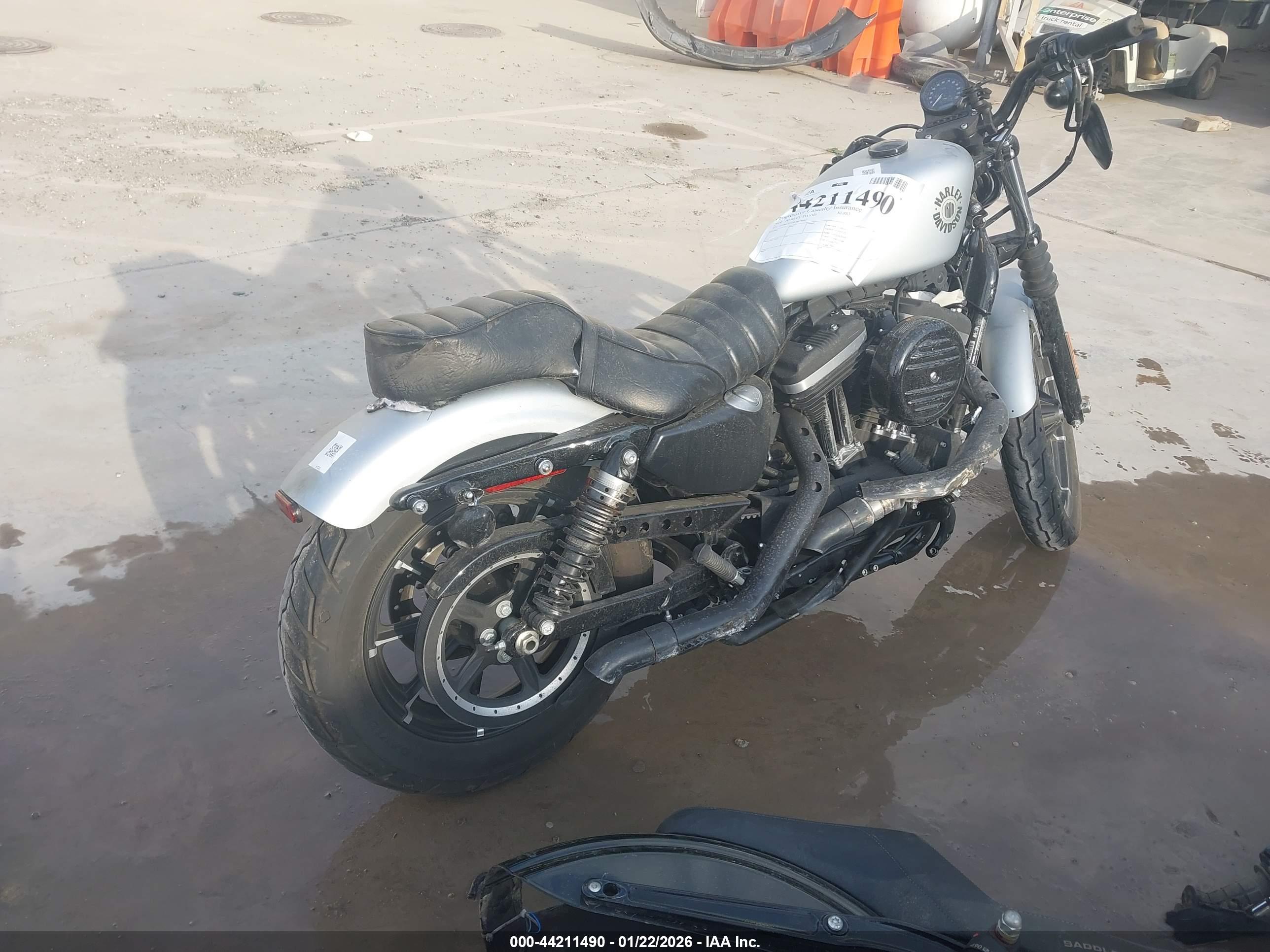 HARLEY-DAVIDSON XL883 image 4