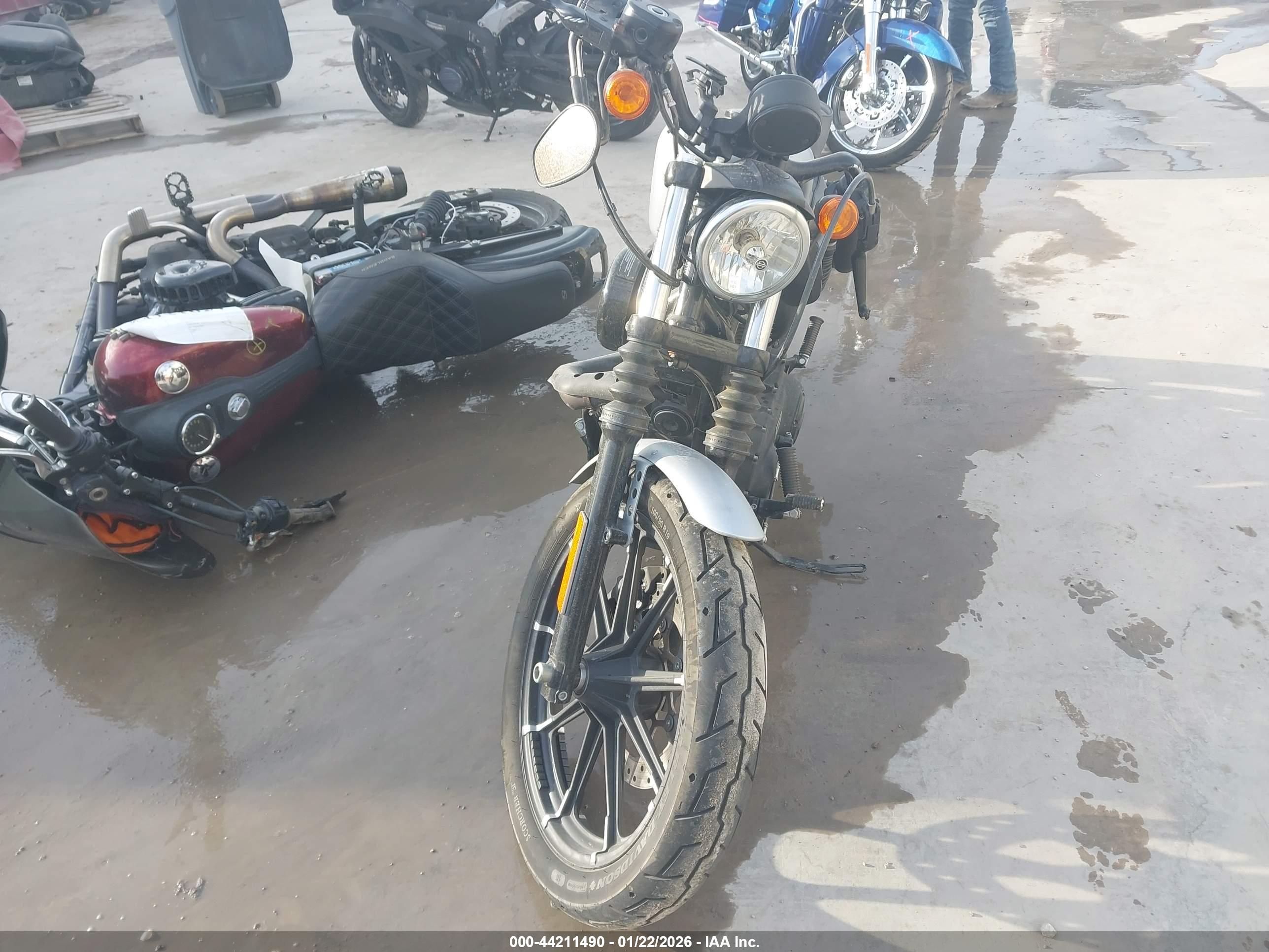 HARLEY-DAVIDSON XL883 image 5