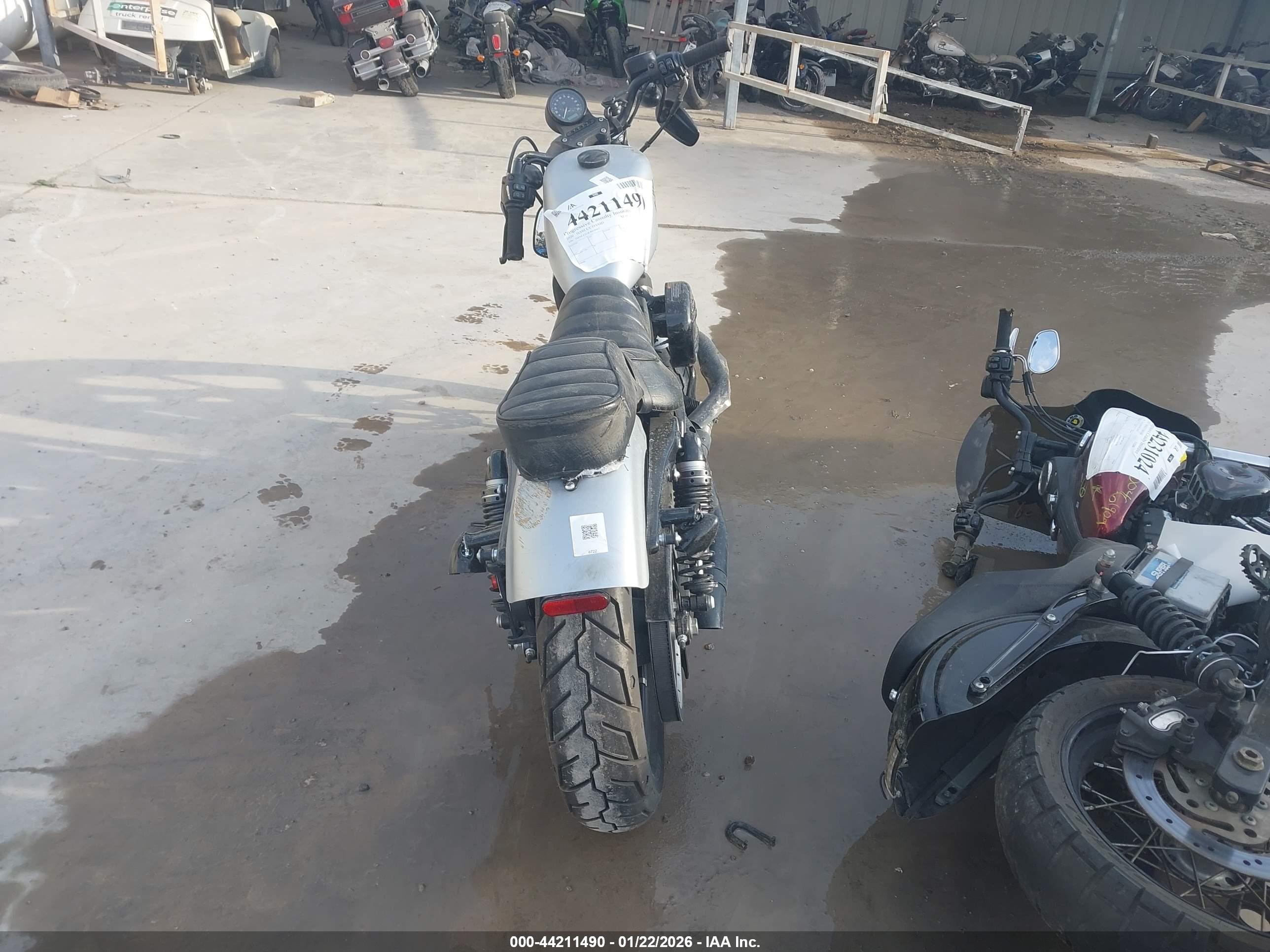 HARLEY-DAVIDSON XL883 image 6