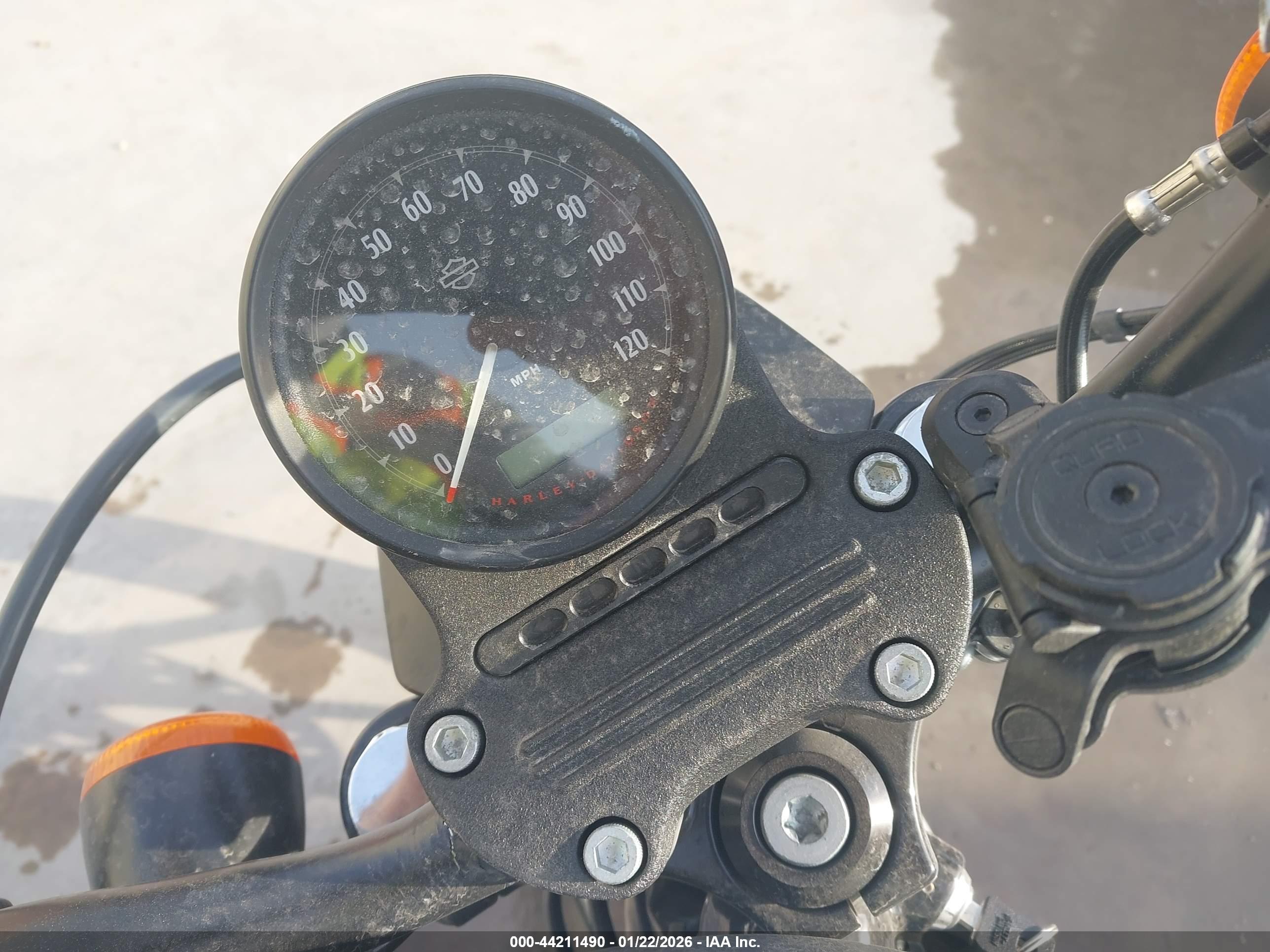HARLEY-DAVIDSON XL883 image 7