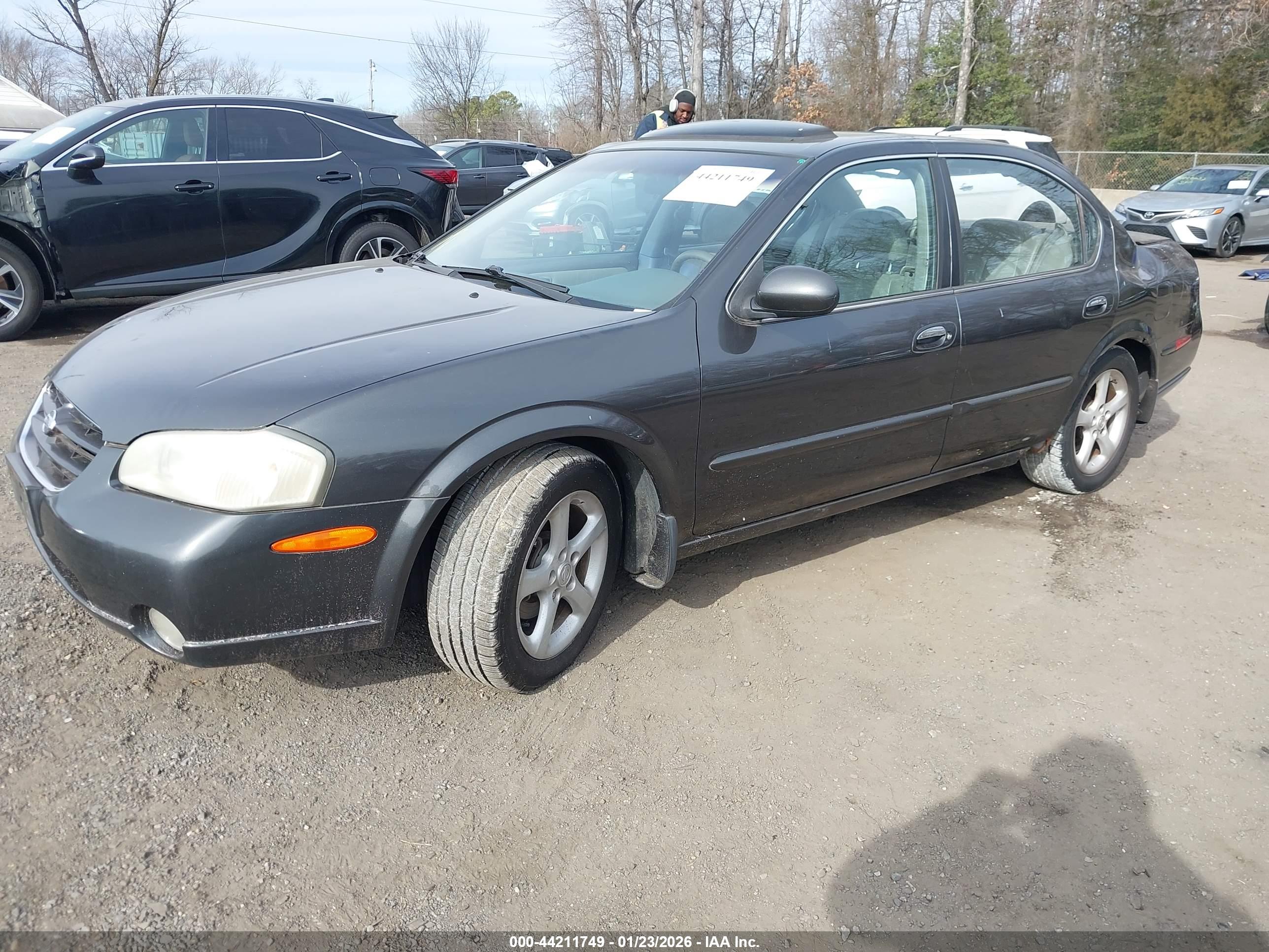 NISSAN MAXIMA image 2